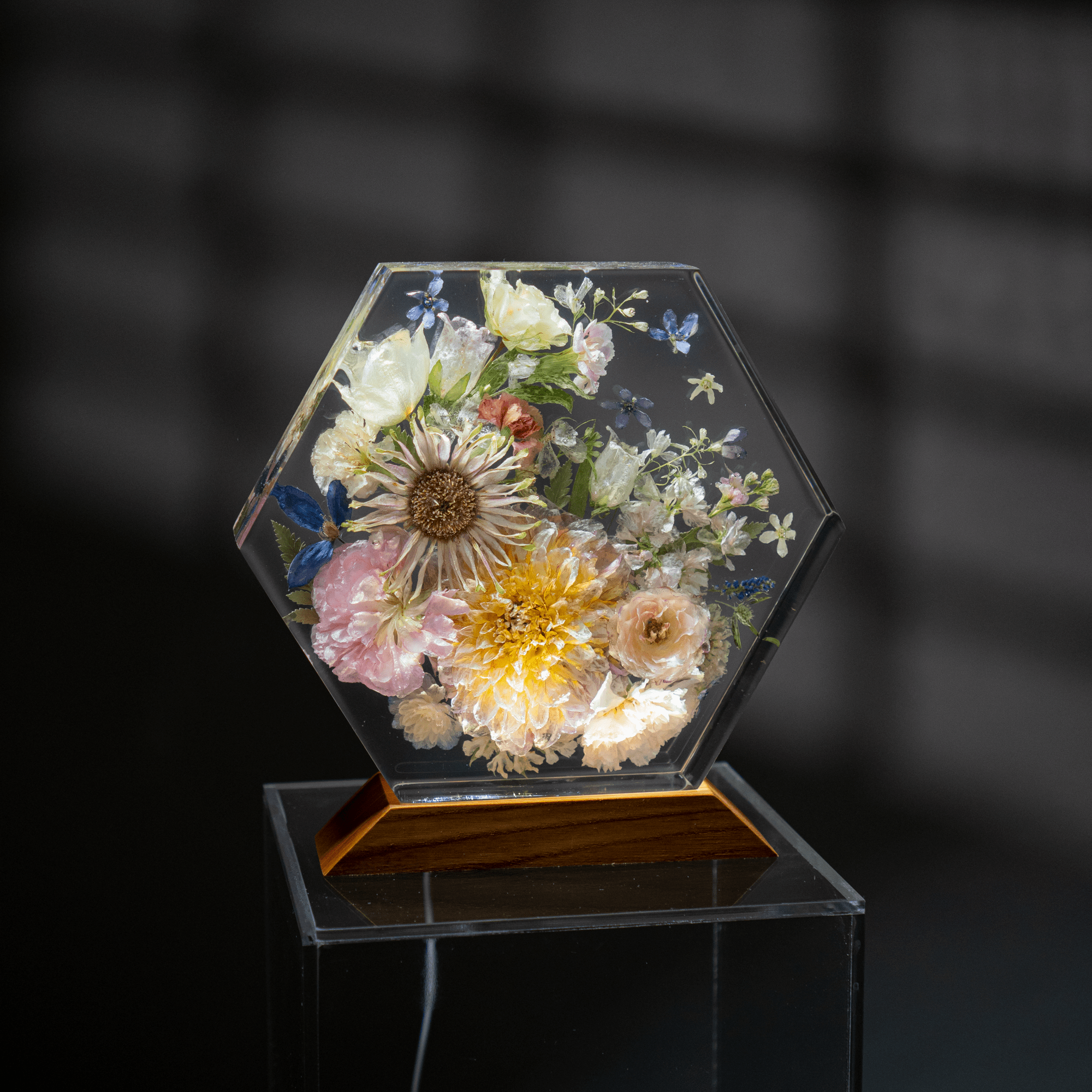 Đèn Hoa Độc Bản Bloomlight BLL29925-13