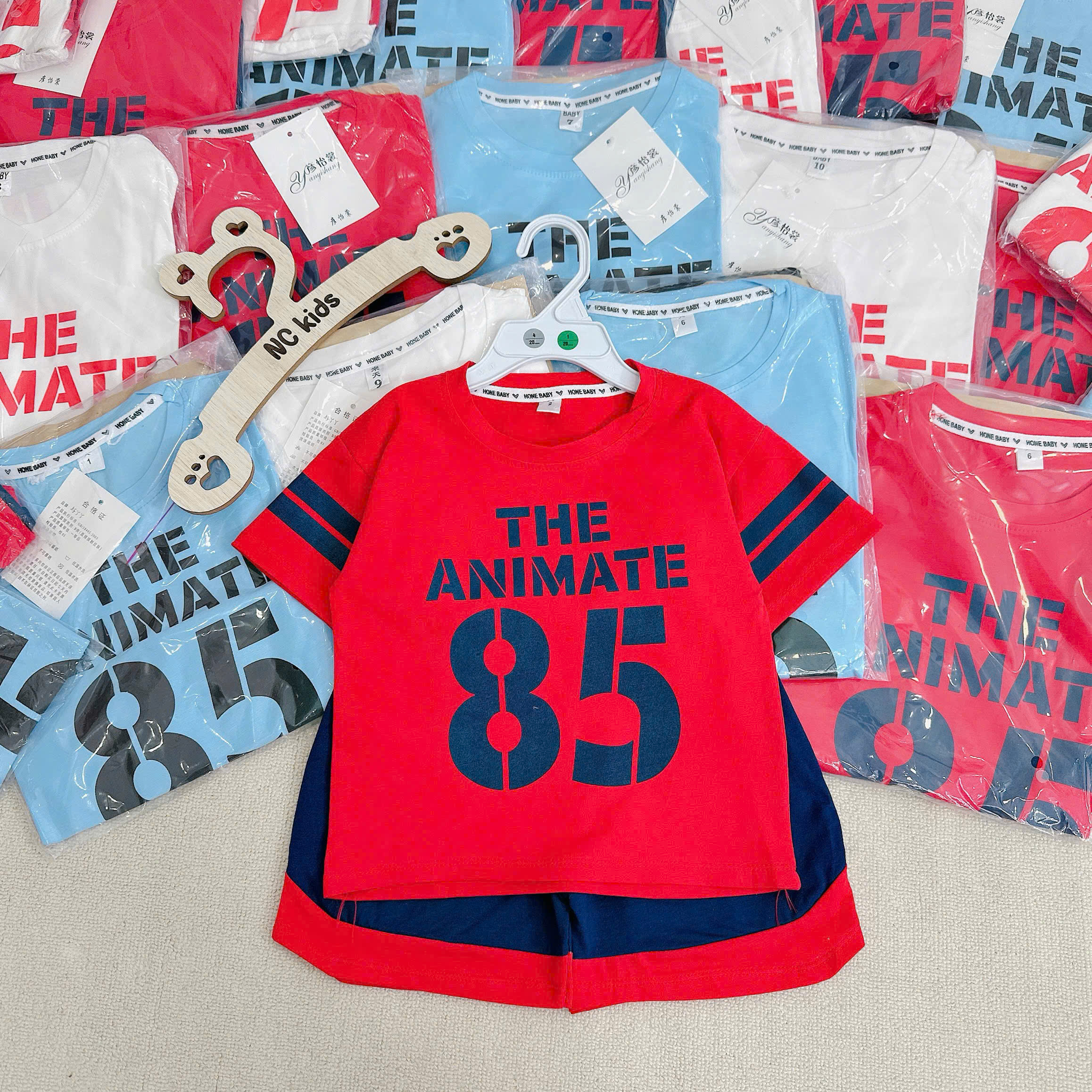 H38 BỘ CỘC SỐ 85- A117.1528