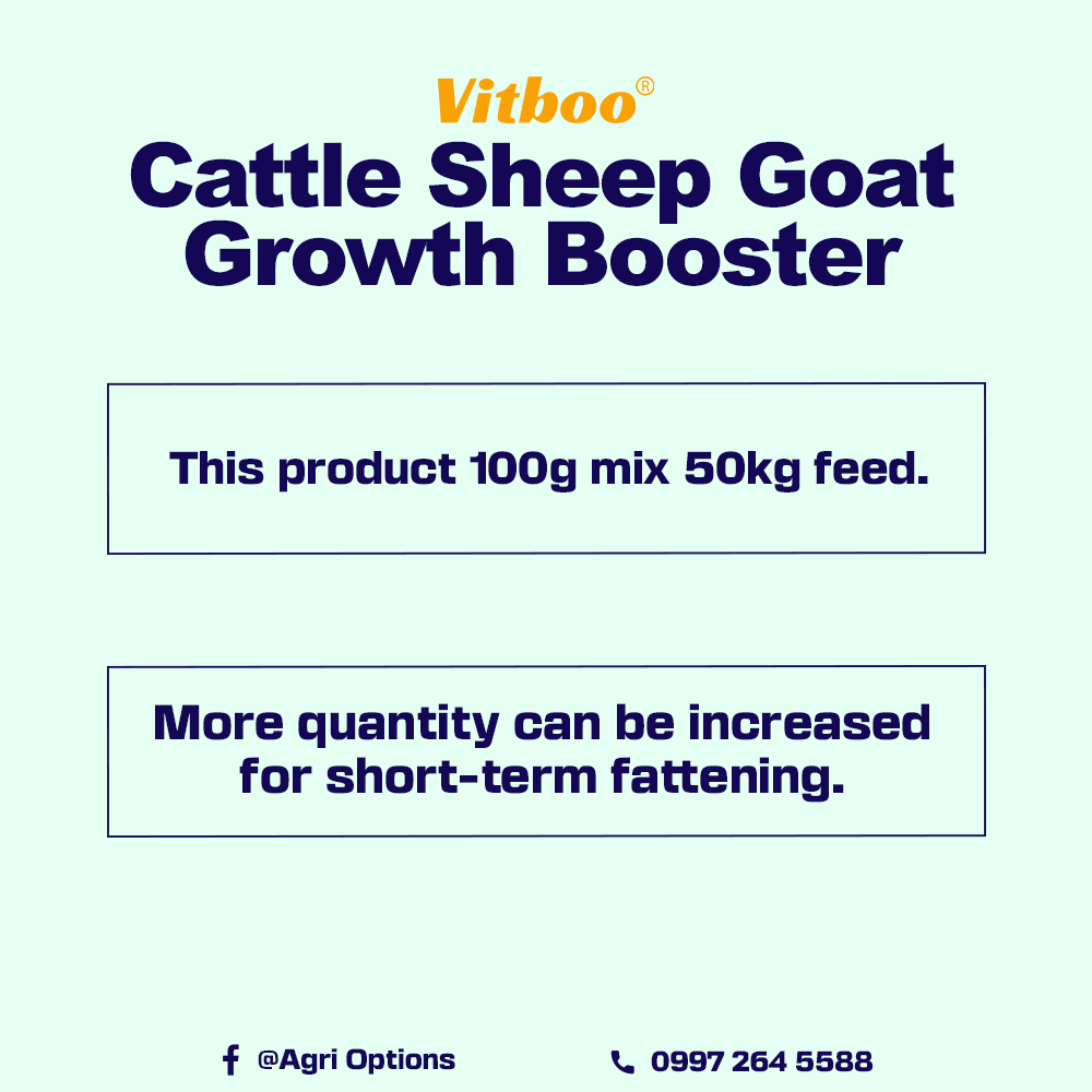 Cattle Sheep Goat Growth Booster_thumbnail_2