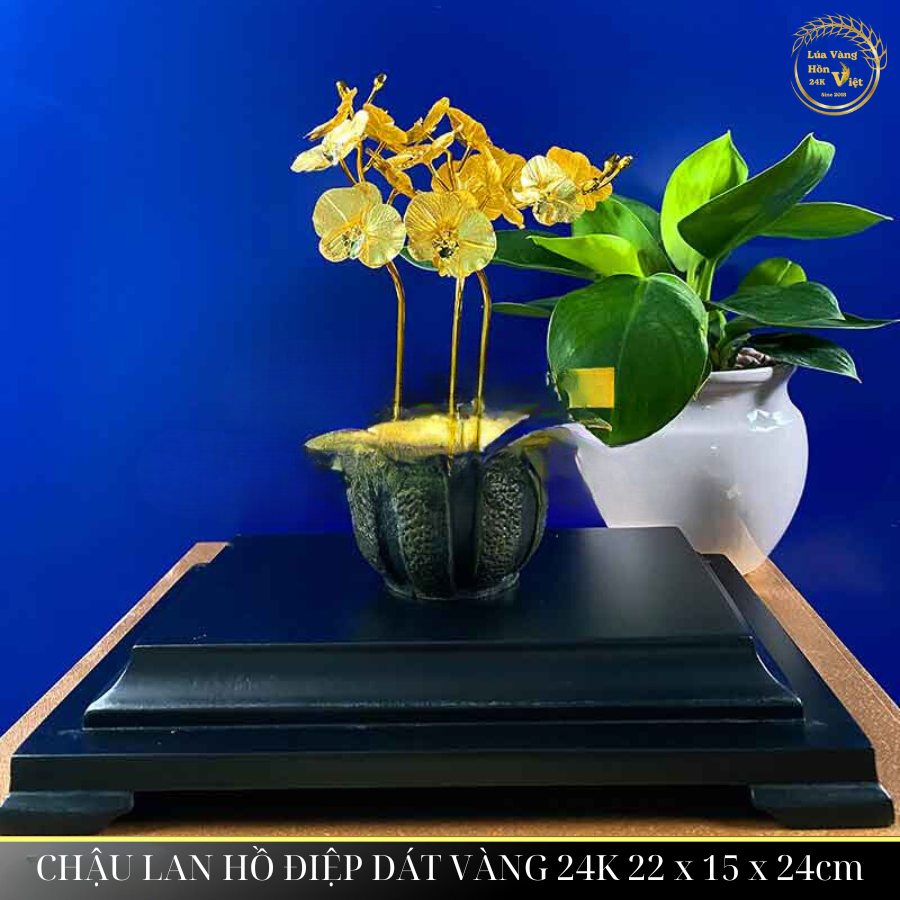 CHẬU LAN HỒ ĐIỆP DÁT VÀNG 24K 22x15x24cm_thumbnail_0