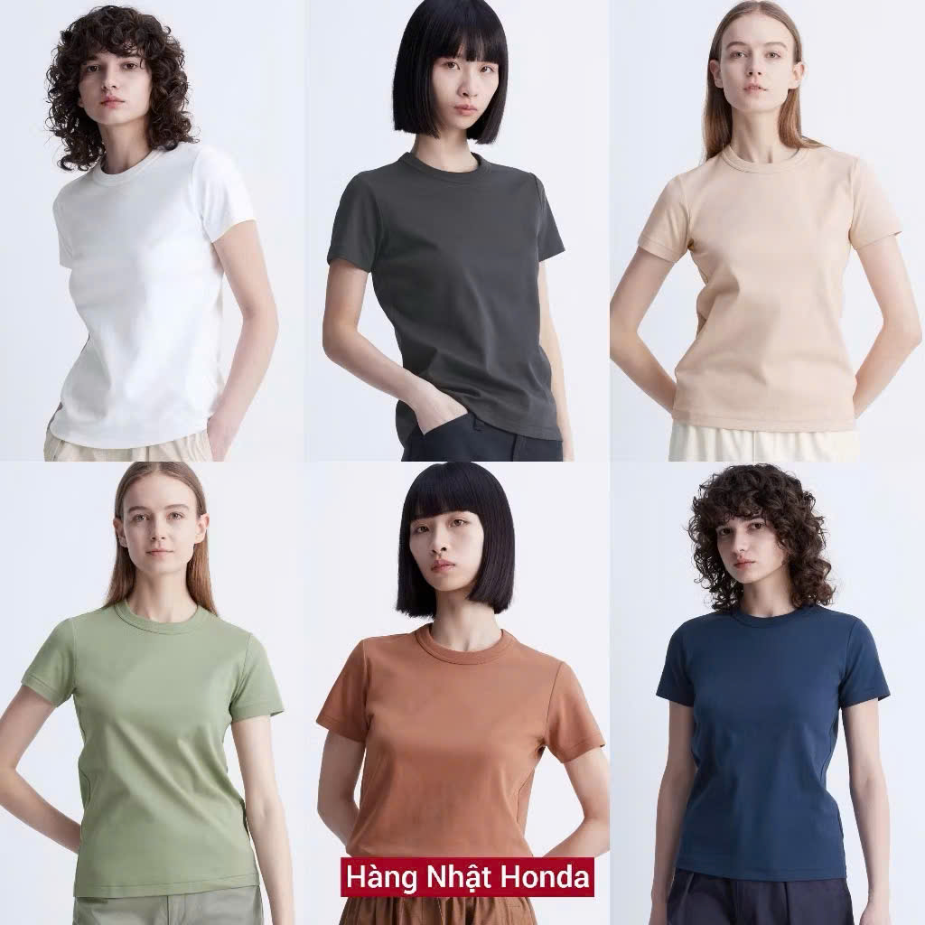 SALE A2202 ÁO THUN 10 MÀU (TRỘN MÀU)_thumbnail_4