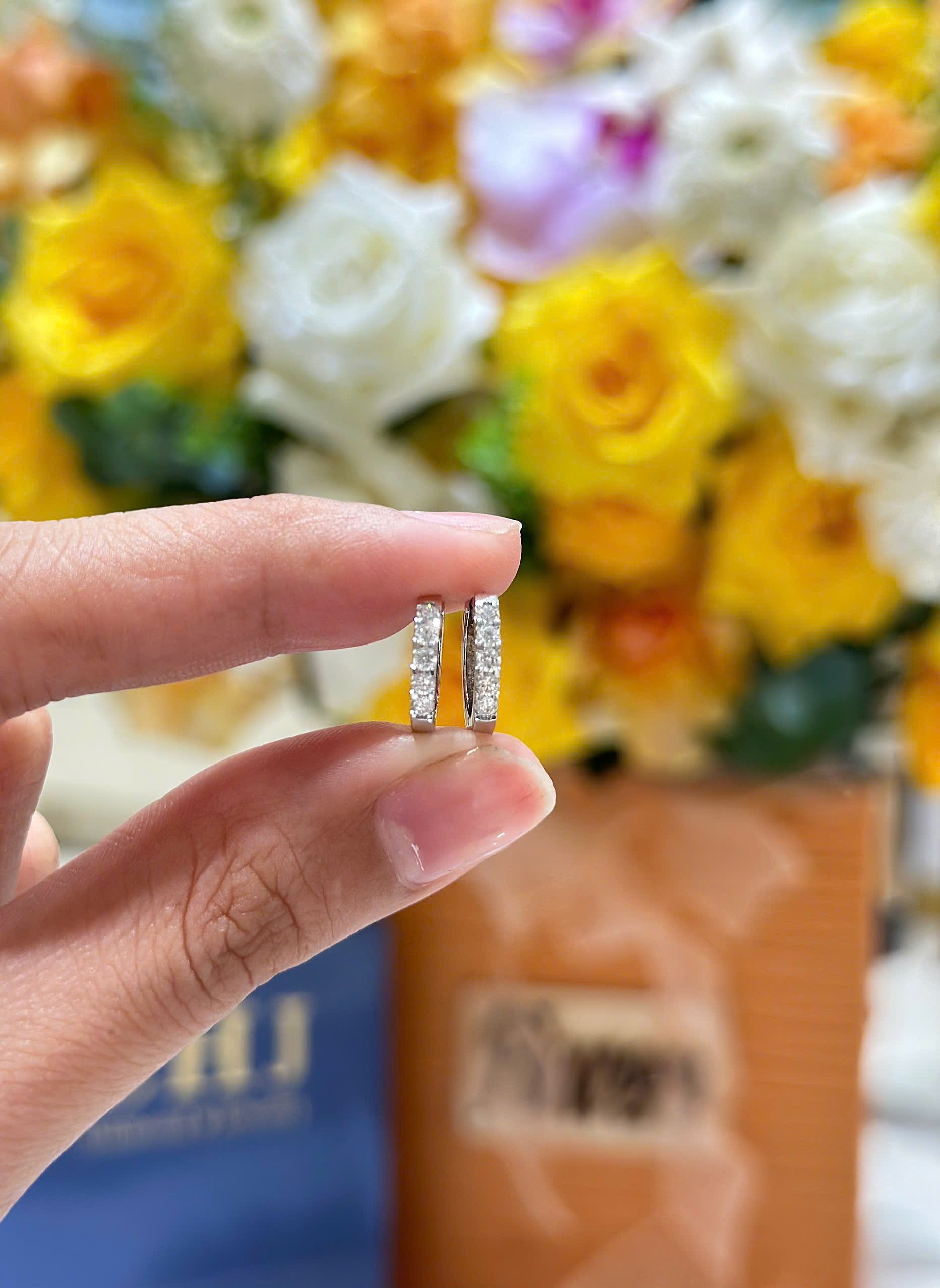 Bông Tai Kim Cương_thumbnail_4