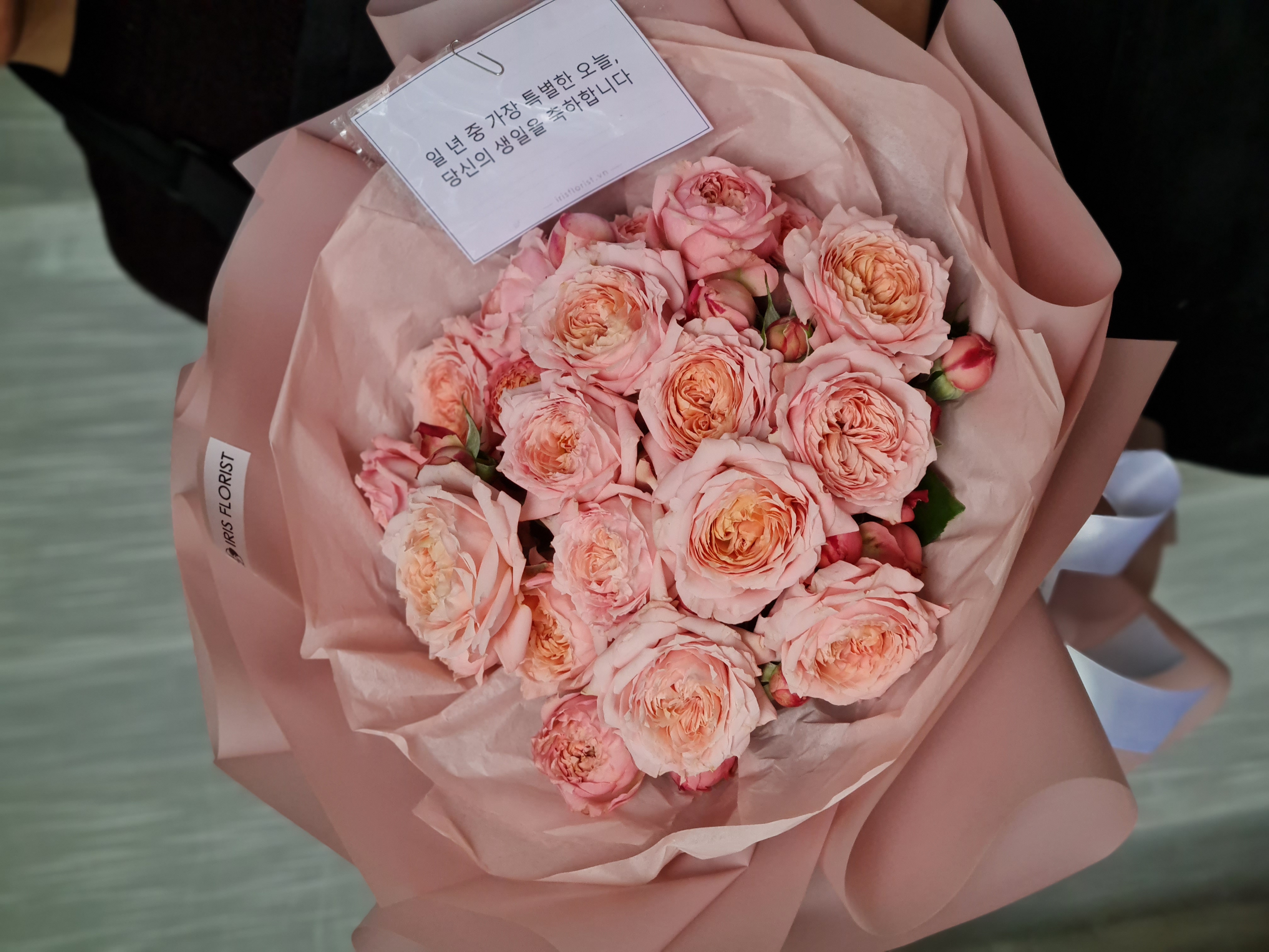 Juliet hồng Đà Lạt (Chu Chu)_0