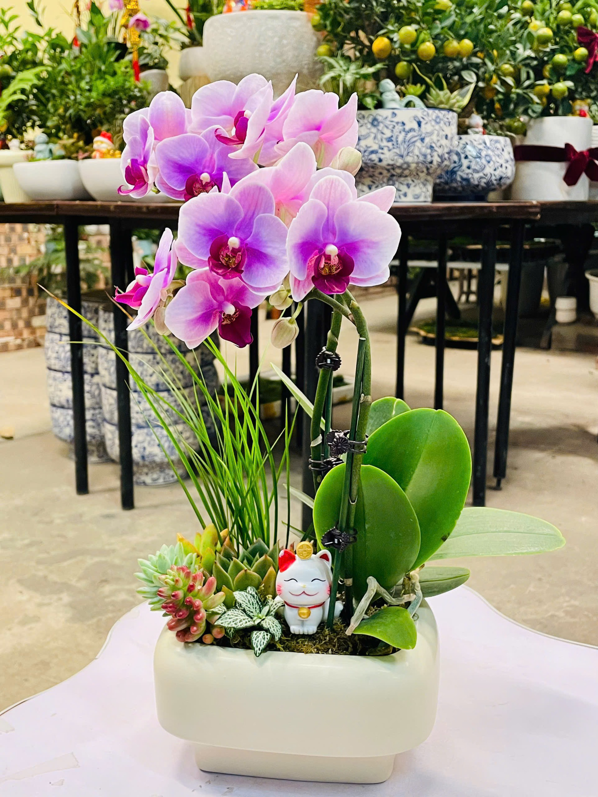 CHẬU CAO CẤP 2_thumbnail_9