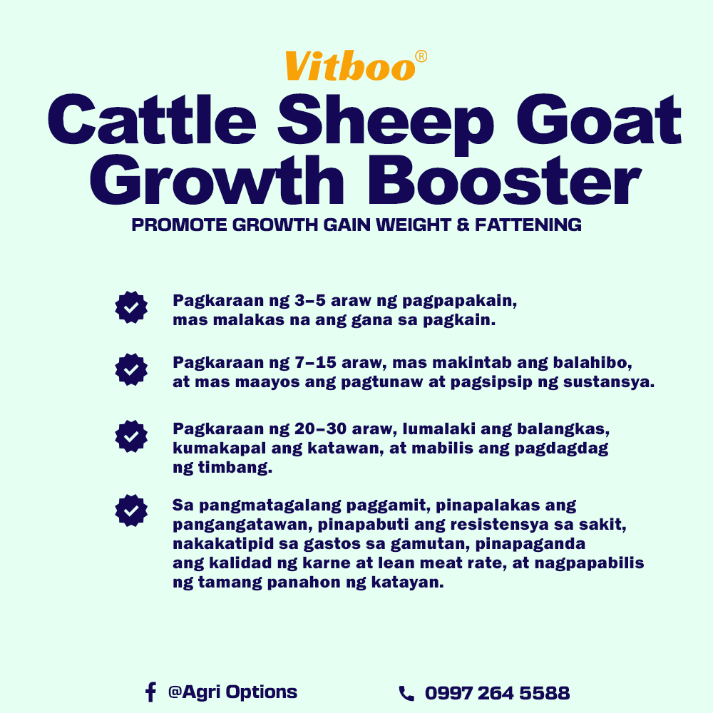 Cattle Sheep Goat Growth Booster_thumbnail_3
