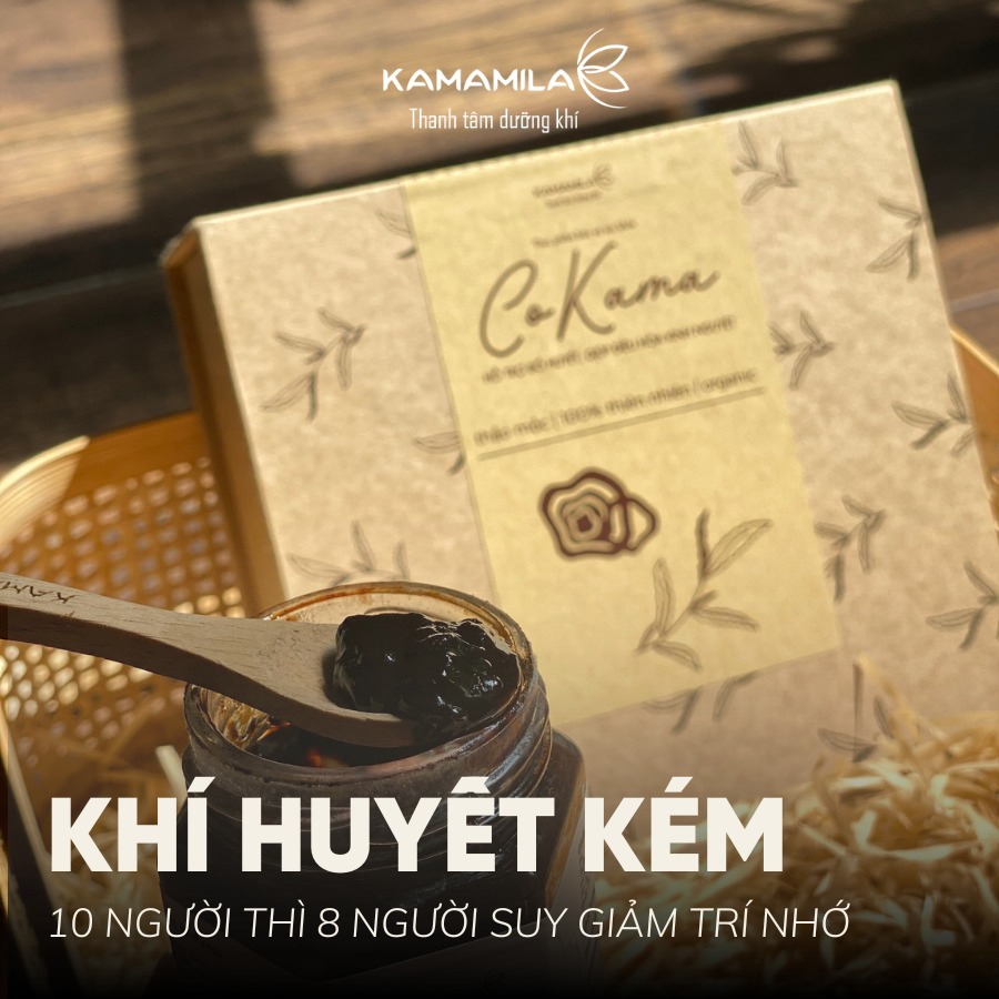 KHÍ HUYẾT KÉM - 10 NGƯỜI KHÍ HUYẾT KÉM THÌ TỚI 8 NGƯỜI SUY GIẢM TRÍ NHỚ