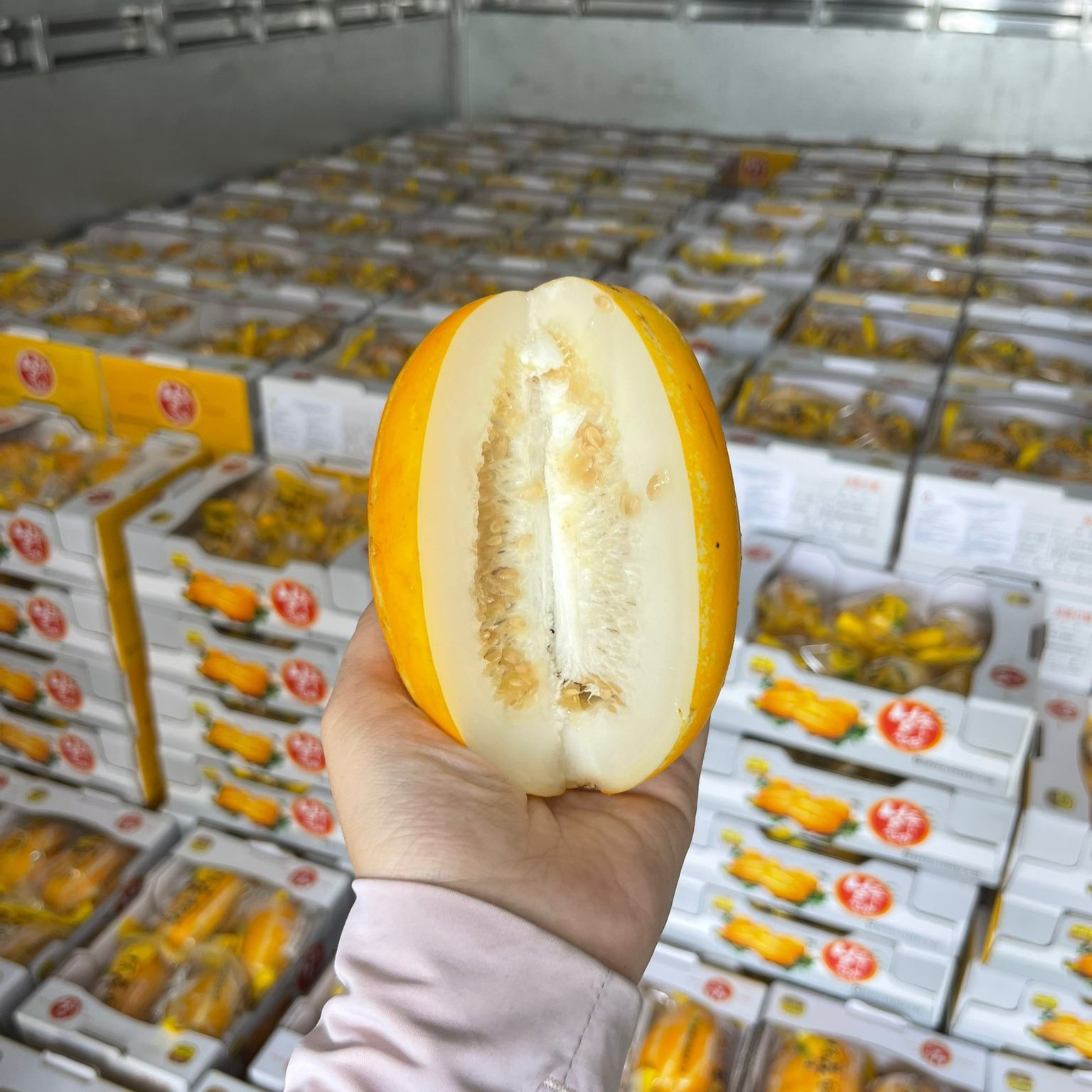 Dưa Lê Hàn Quốc_thumbnail_0