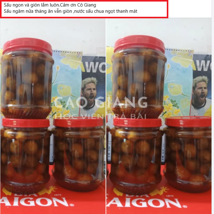 Lớp Nước Sấu Ngâm Giòn_thumbnail_12