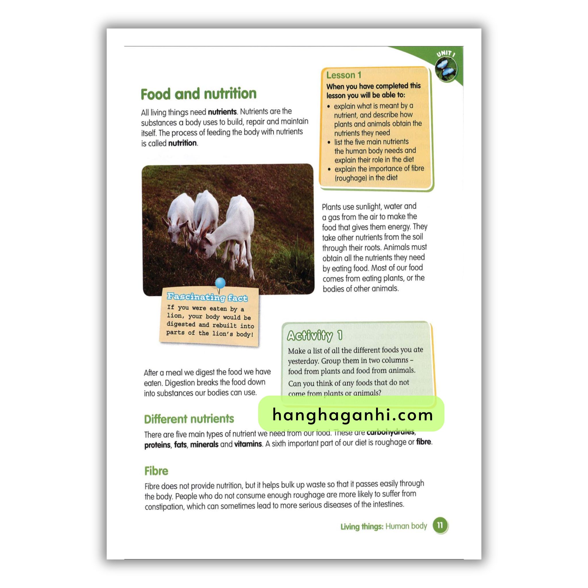 Macmillan Science 5 Pupil’s book_thumbnail_19