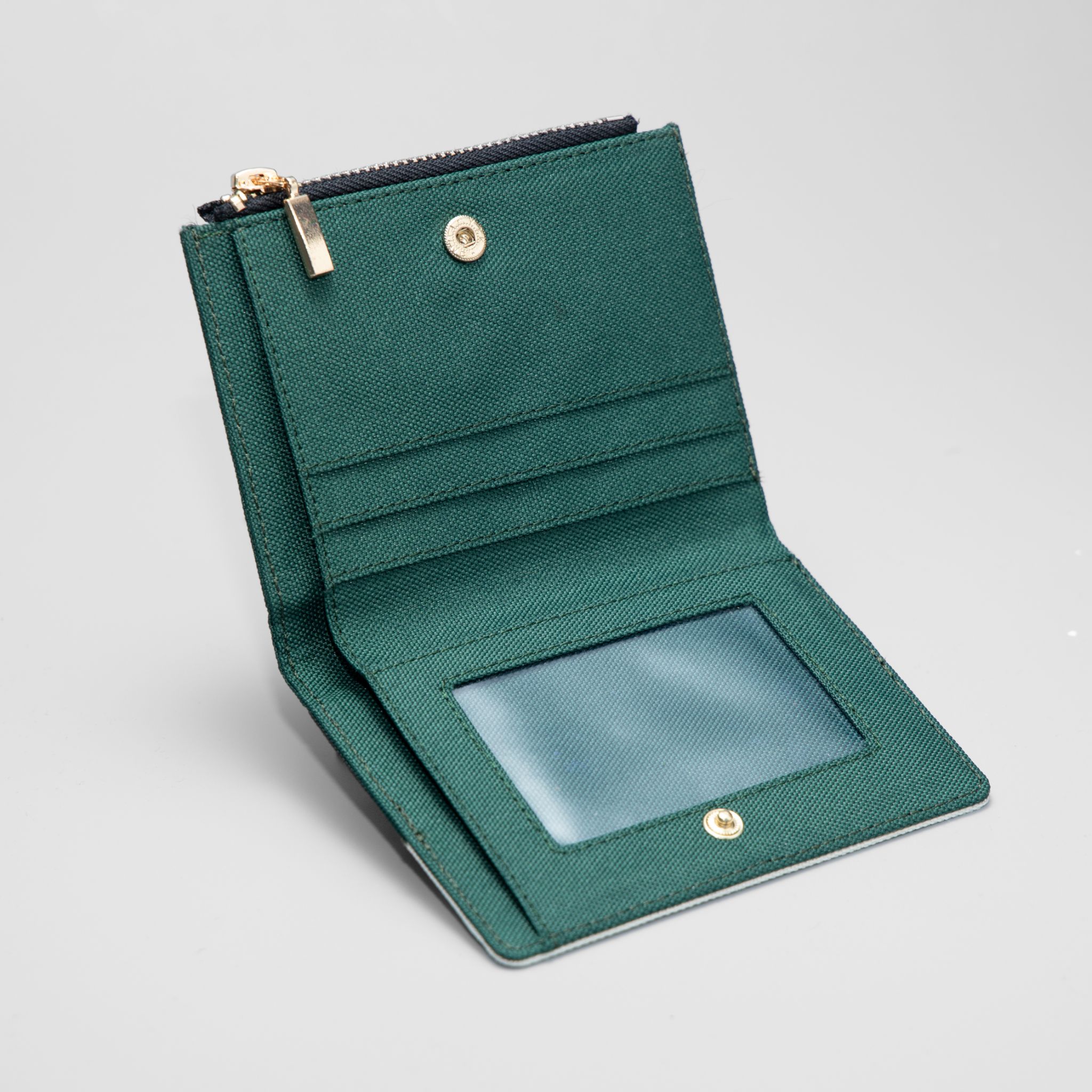 VÍ ZILLA_thumbnail_19