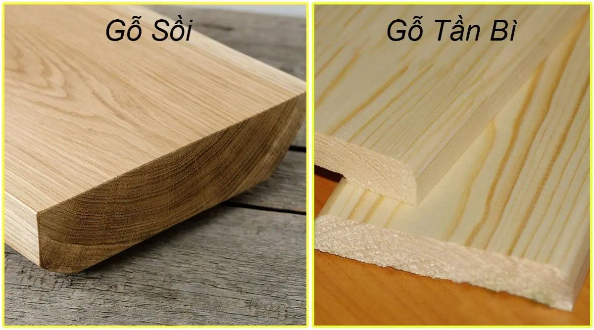 Cách nhận biết gỗ Sồi thật - giả cực chuẩn cho người không chuyên