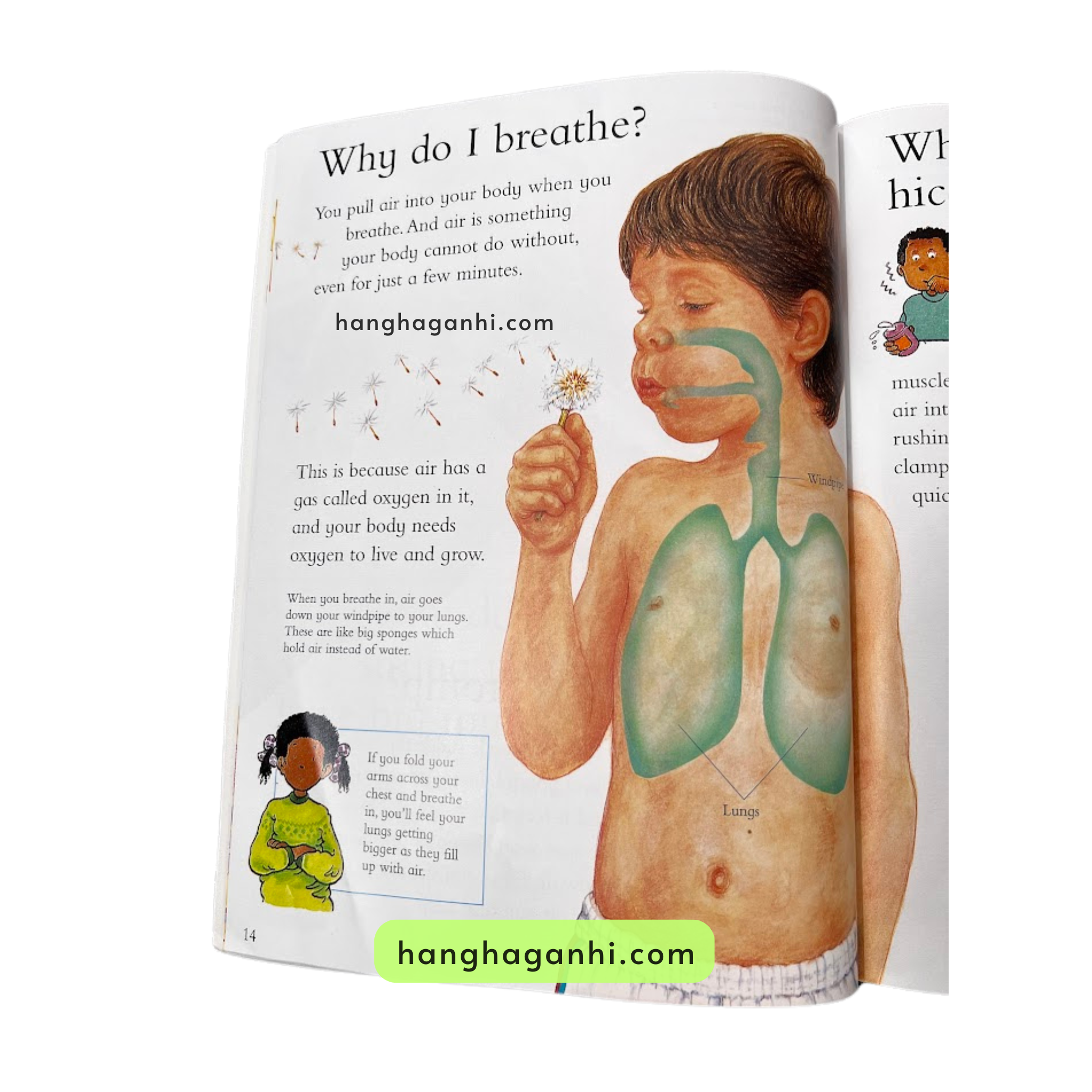 I wonder why, Bộ 24 cuốn Sách Khoa học cho bé nhập khẩu nguyên seal kèm file nghe giọng bản ngữ_thumbnail_26