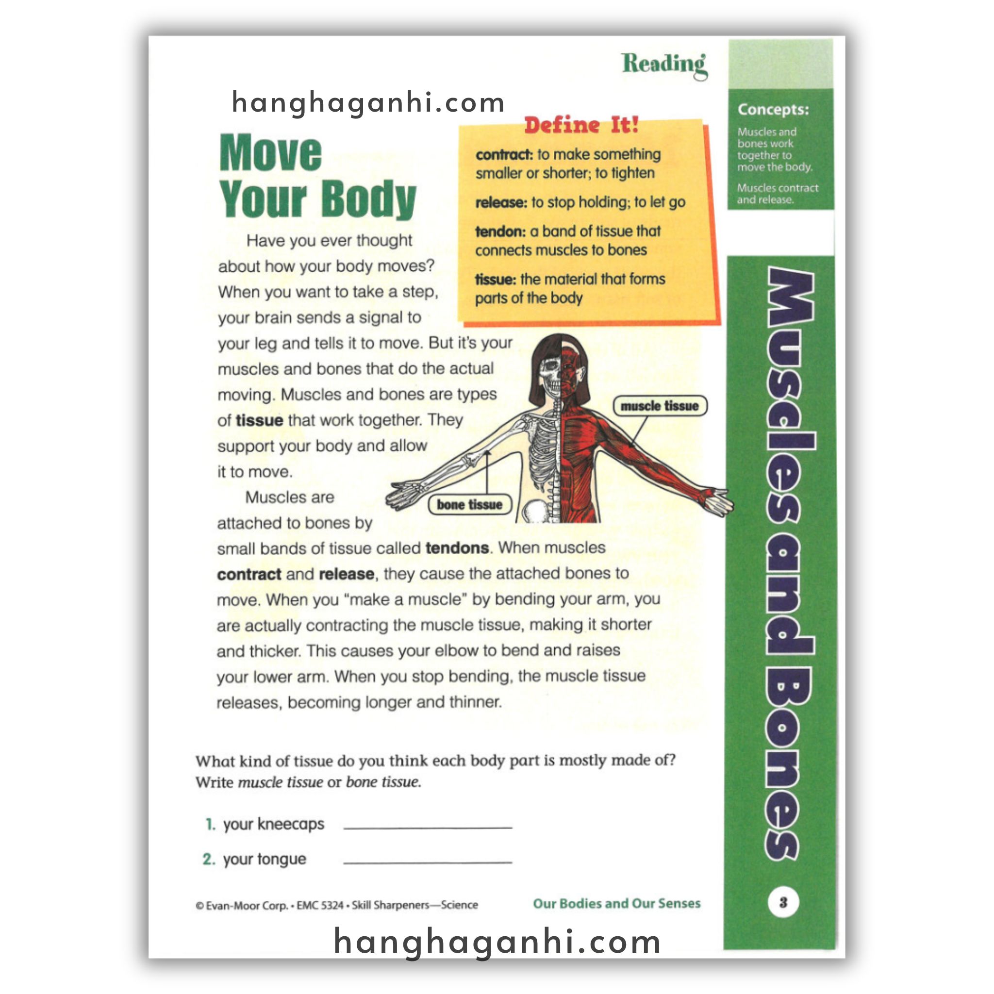 Skill Sharpeners Science Grade 4_thumbnail_8