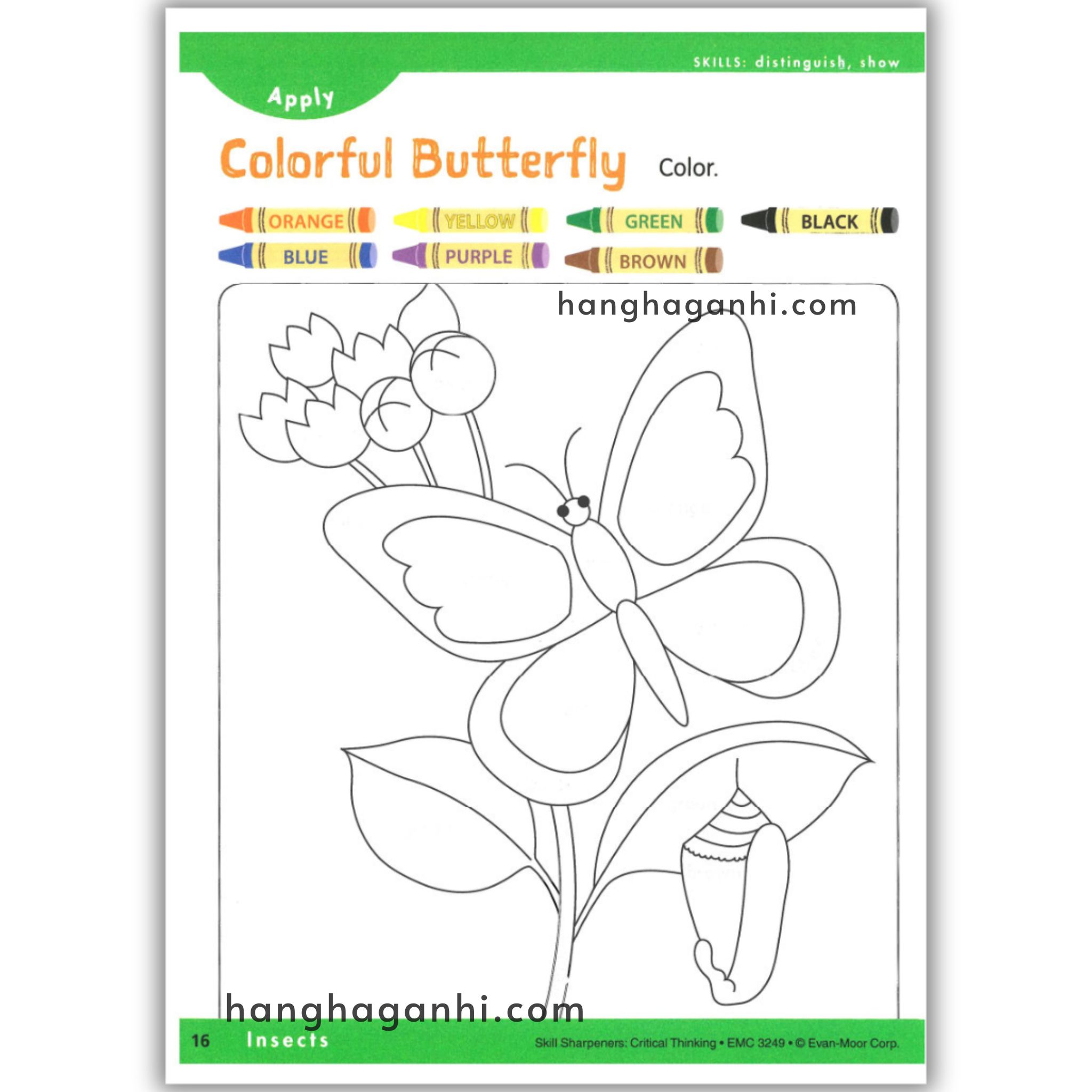 Skill Sharpeners Critical Thinking Pre-K_thumbnail_17