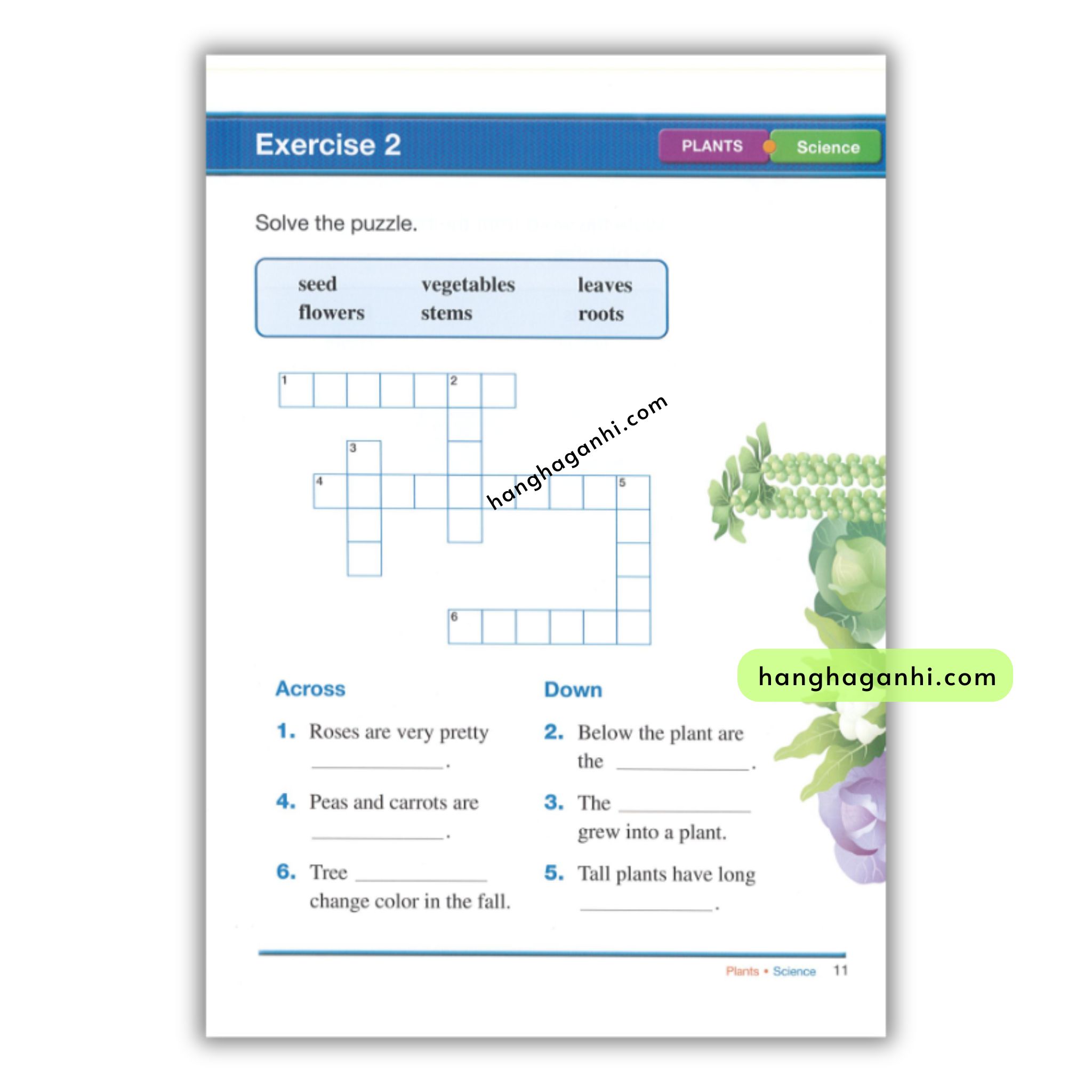 Reading for Vocabulary level A_thumbnail_1