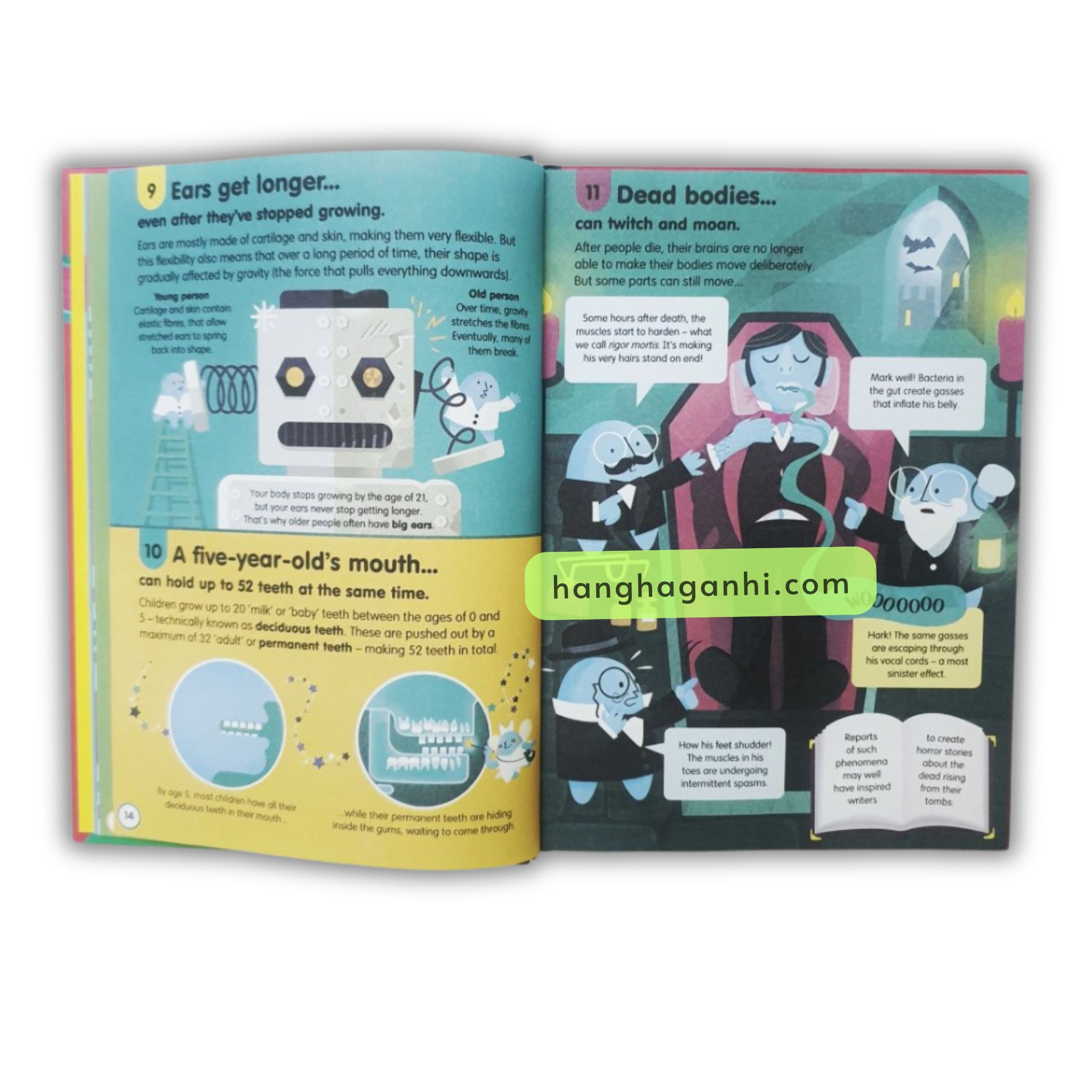 100 Things To Know About Usborne – 11 quyển Bìa cứng [Sách Nhập Khẩu]_thumbnail_6