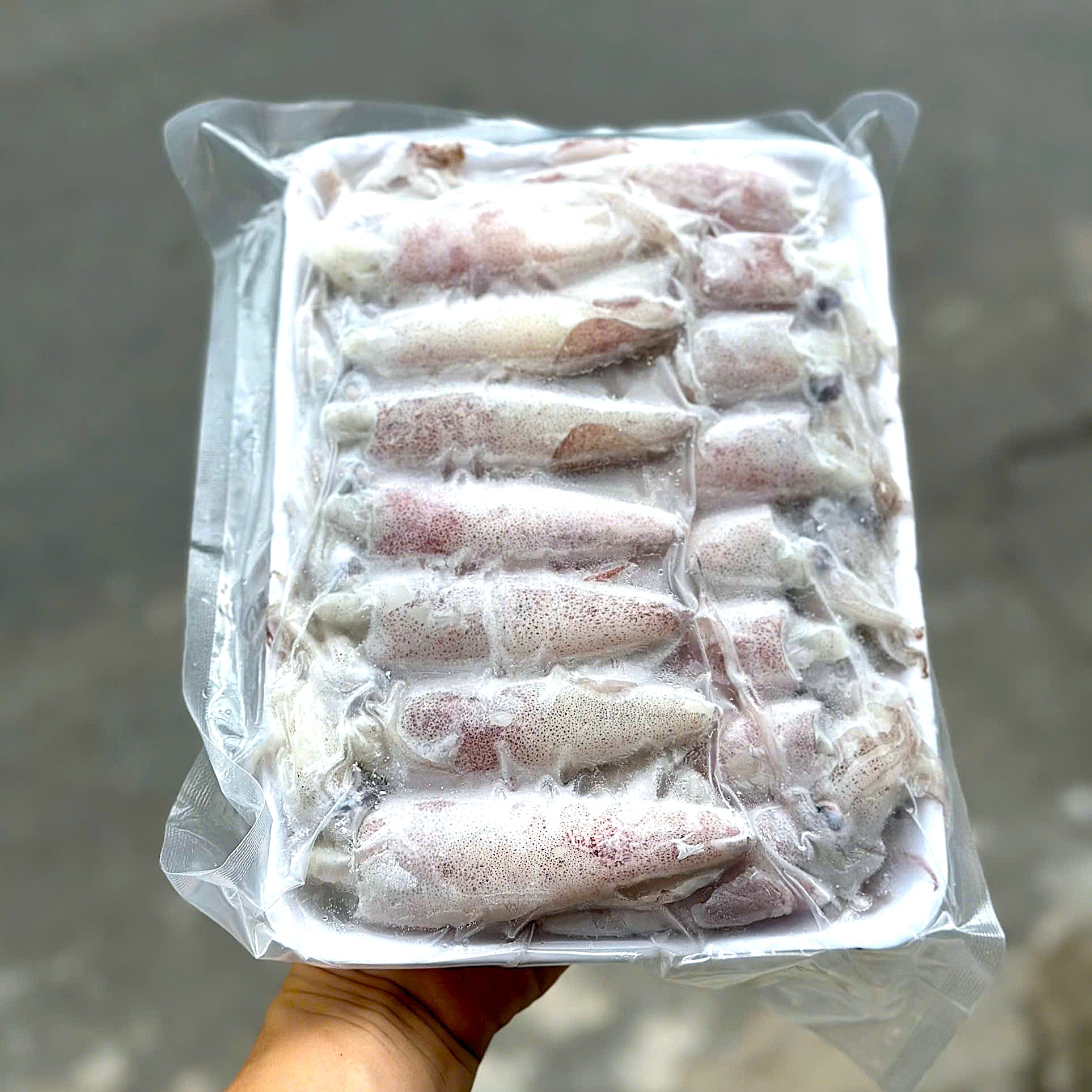 Mực Ống Trứng_thumbnail_3