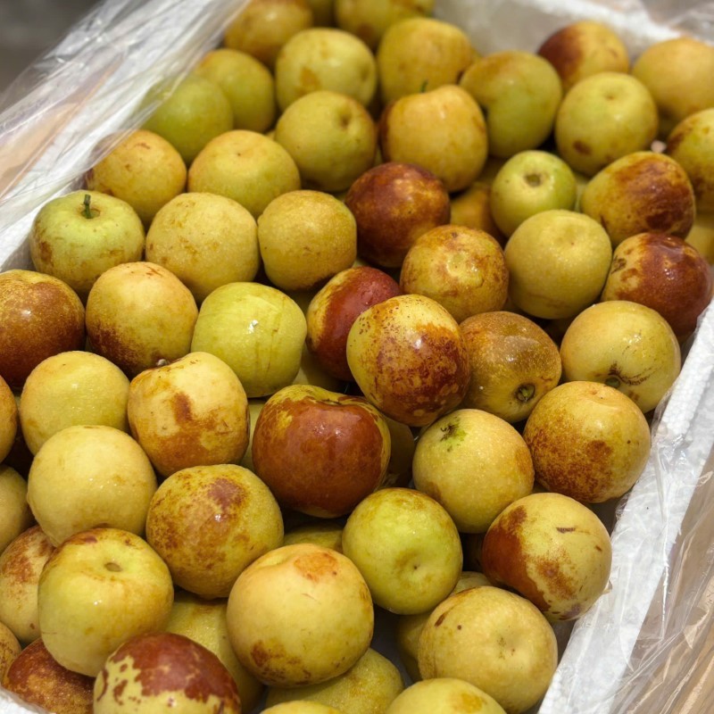 Đại Hồng Táo_thumbnail_1