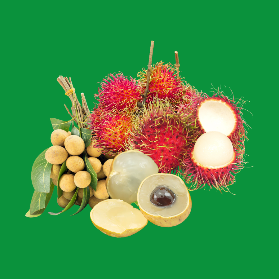 Nhãn Bắp Cải_thumbnail_1