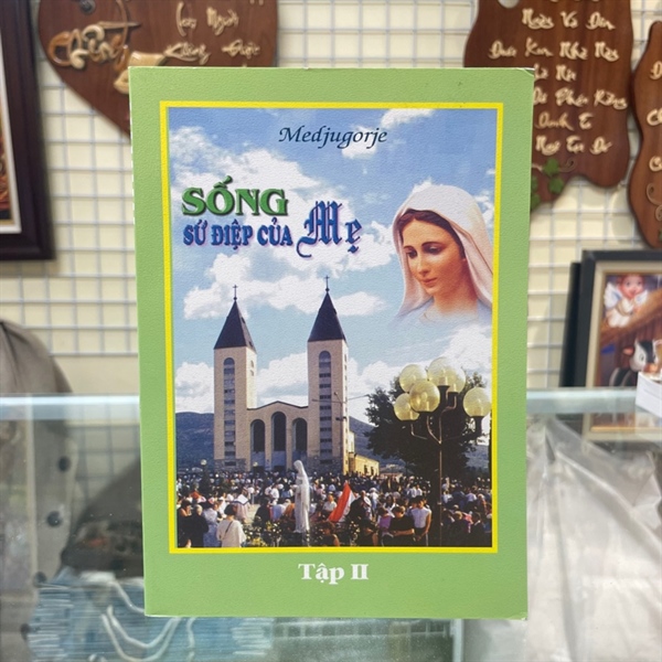 Sống sứ điệp của Mẹ (T2) ✔_thumbnail_0