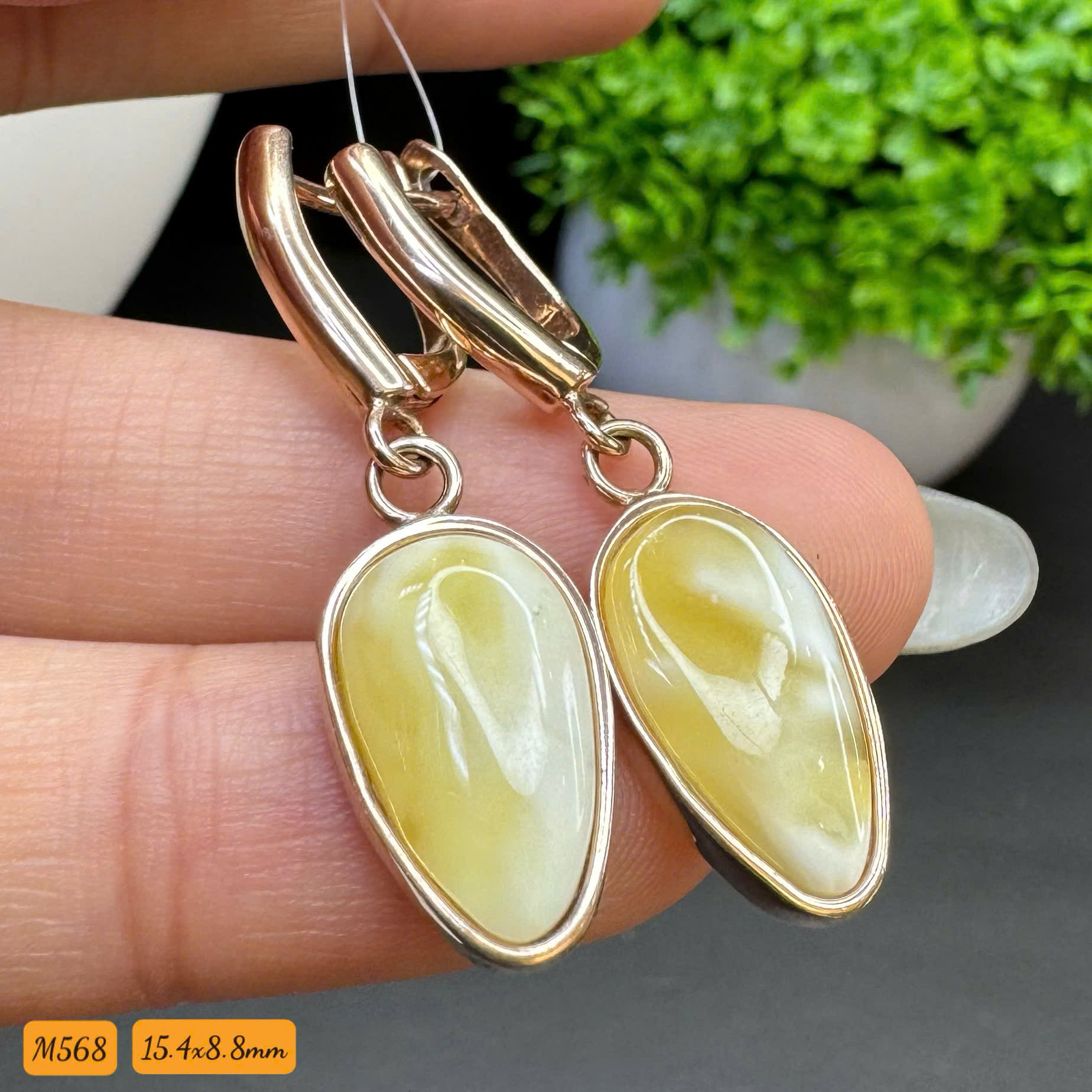 Hoa Tai Hoàng Gia - M568