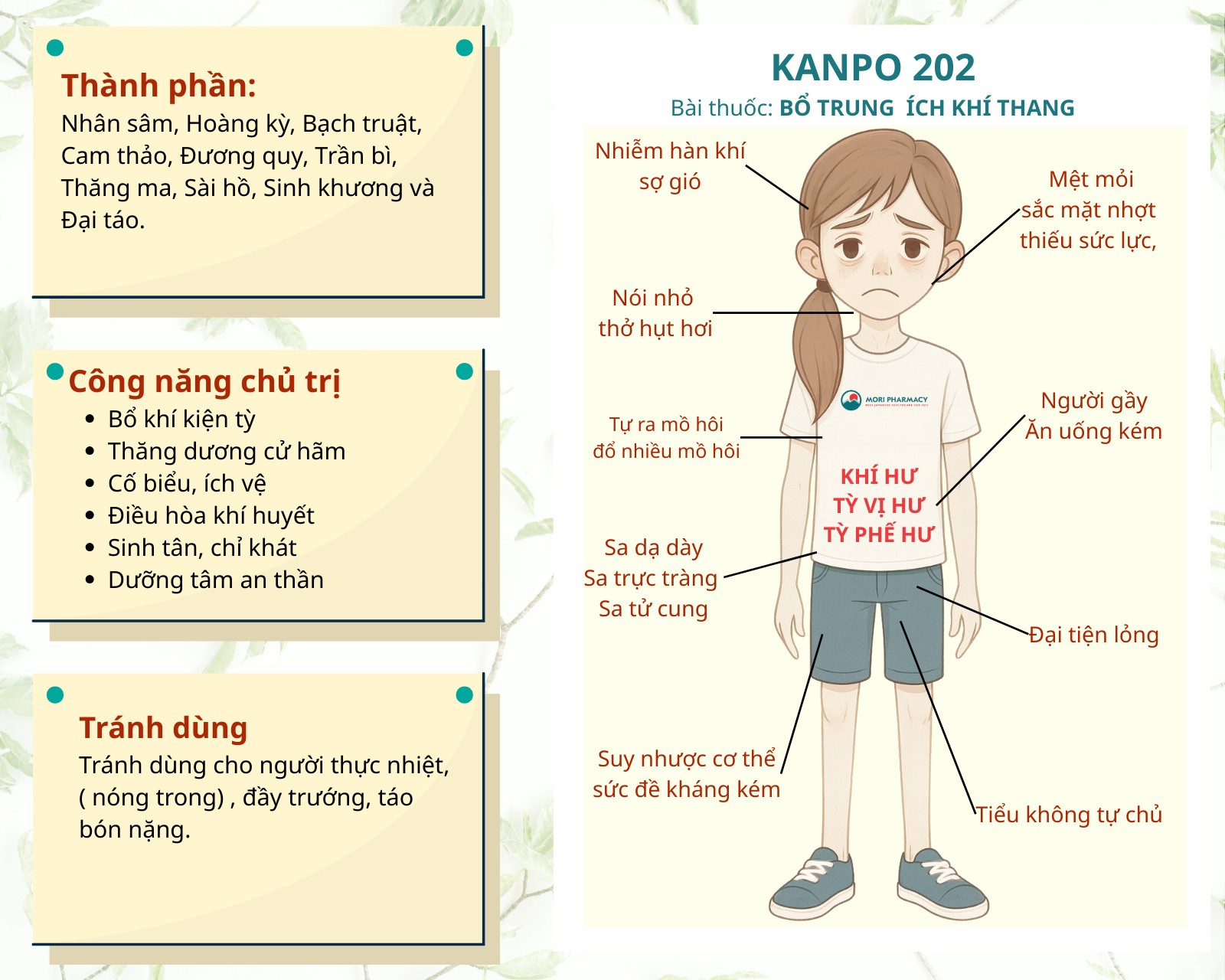 KANPO 202 – Tăng cân, tăng hấp thụ, cải thiện tiêu hóa