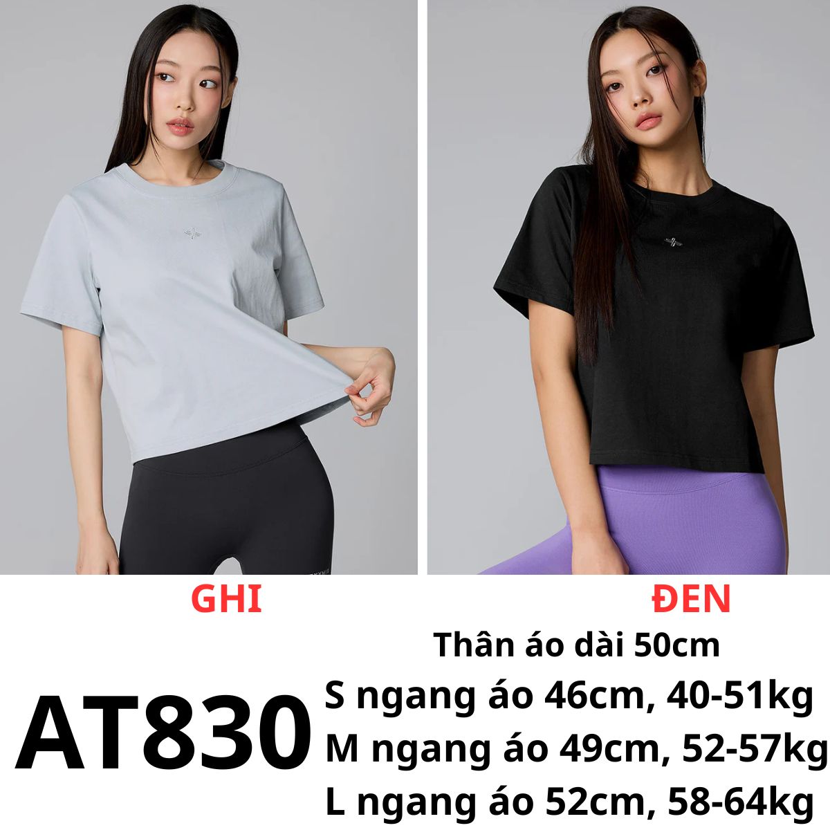 AT830- ÁO THUN HÀN