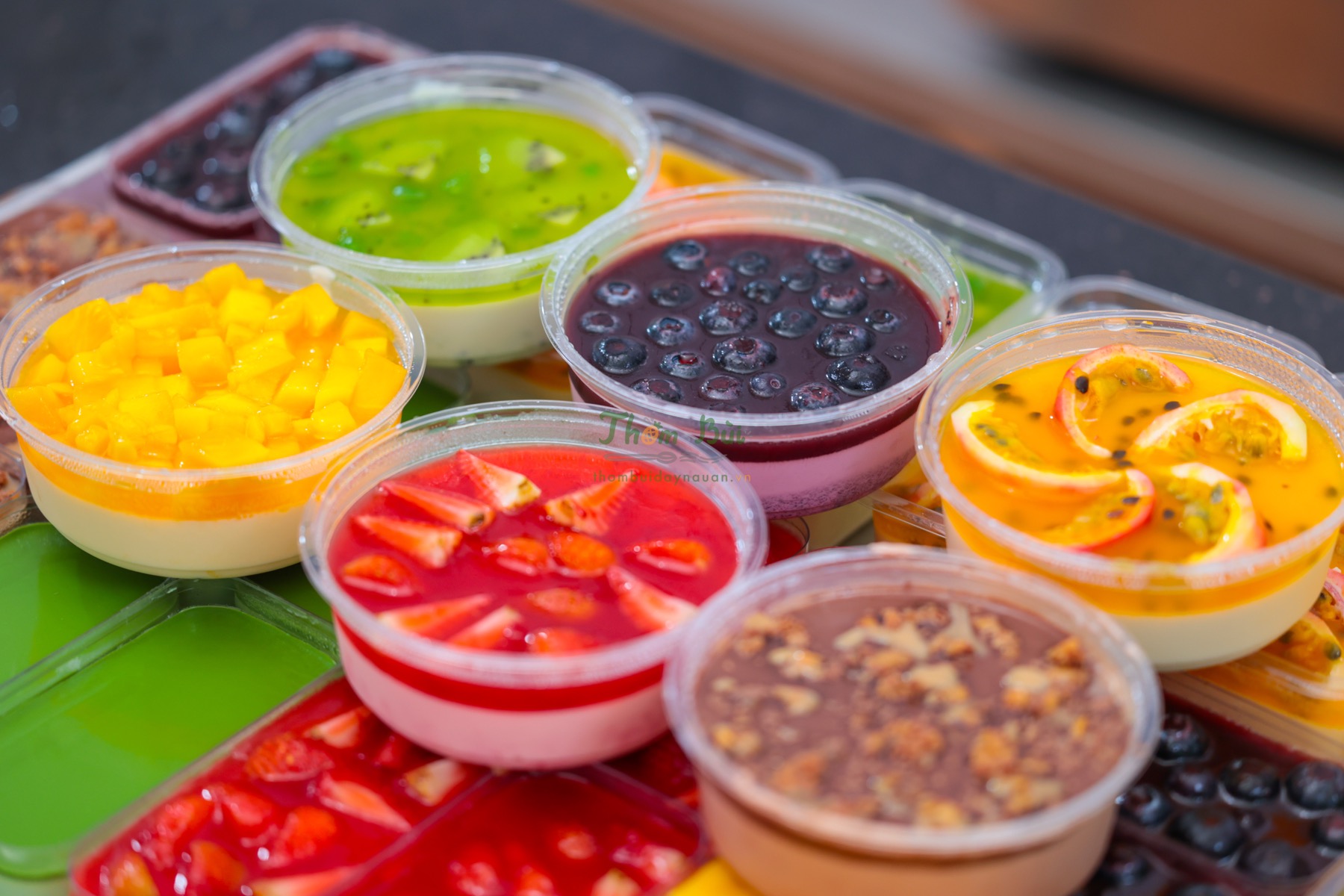 KHÓA HỌC PANNA COTTA TRÁI CÂY TƯƠI