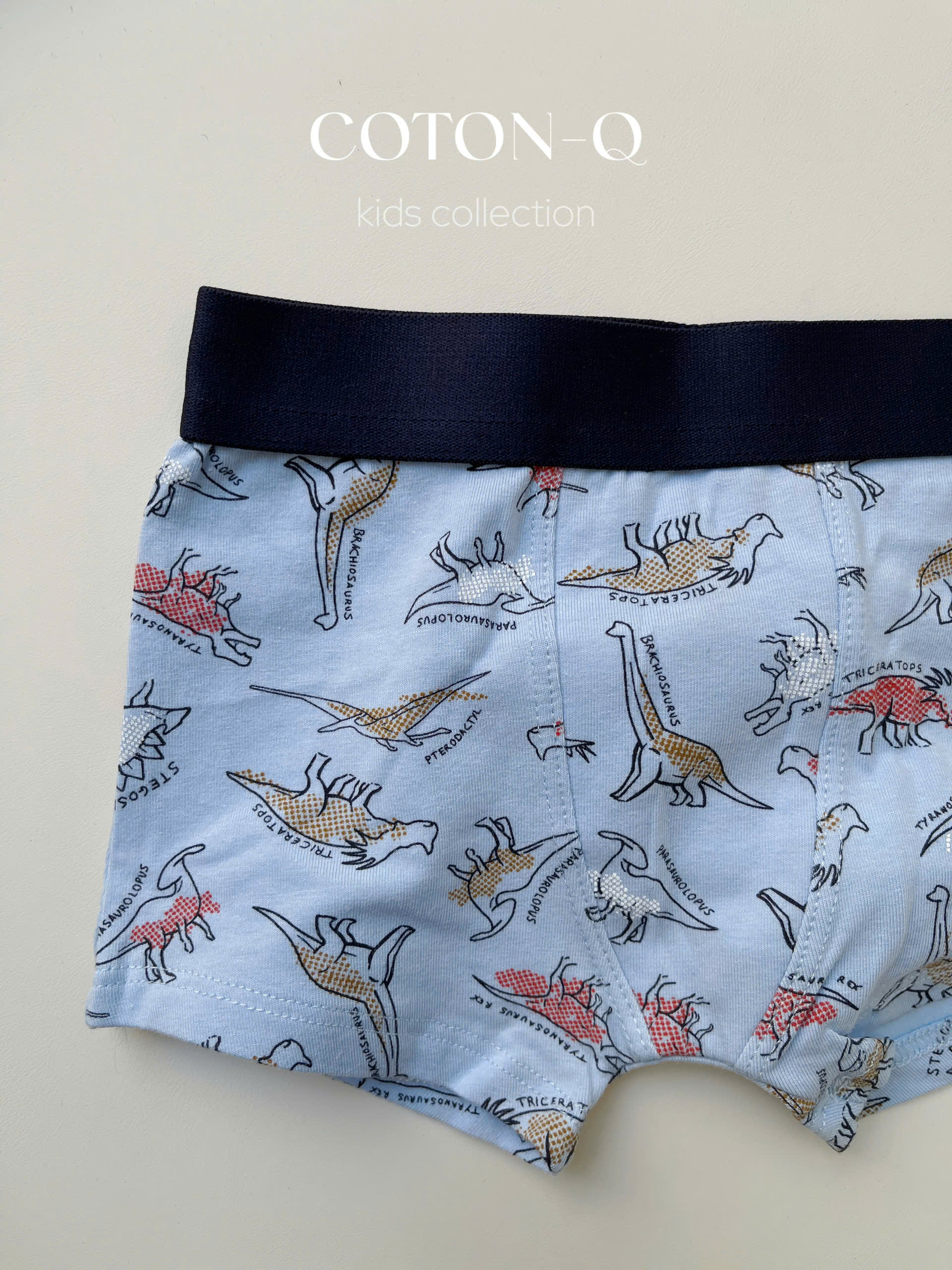 Set 6 quần chip bé trai ( NGẪU NHIÊN 4-5 MÀU )_thumbnail_30