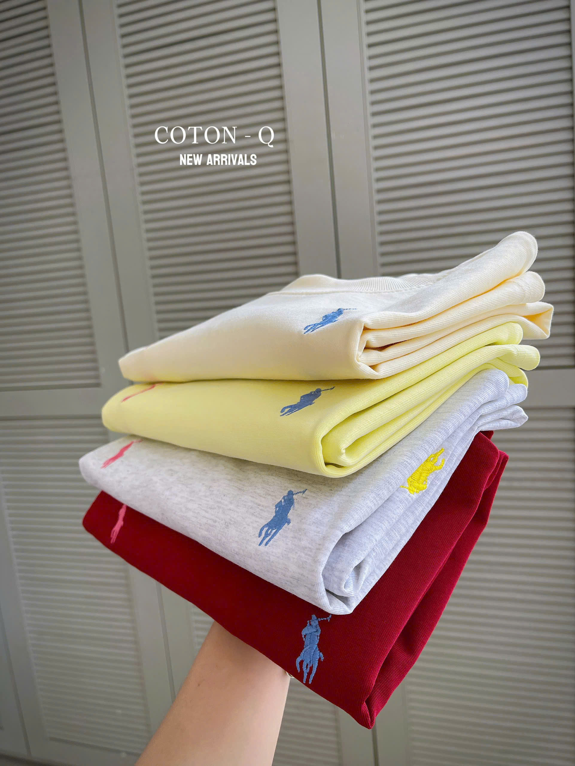 HA9 - Áo thun thêu ngựa ( NGẪU NHIÊN )