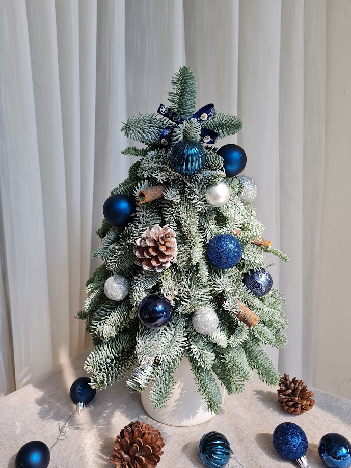 X-mas Tree - Size M (cao 45-50cm) - BLUE
