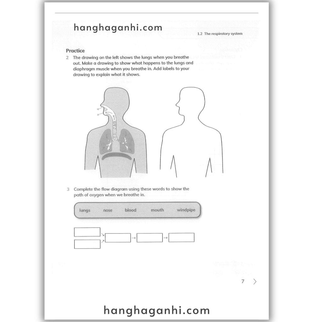 Cambridge Level 6 Primary Science Workbook 2nd edition 2021_thumbnail_1