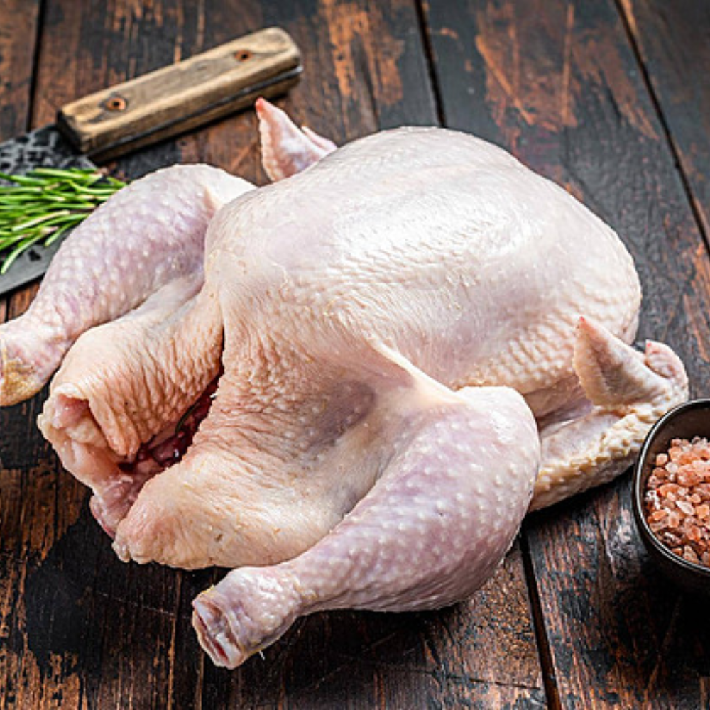 Tough Chicken (Large Size)