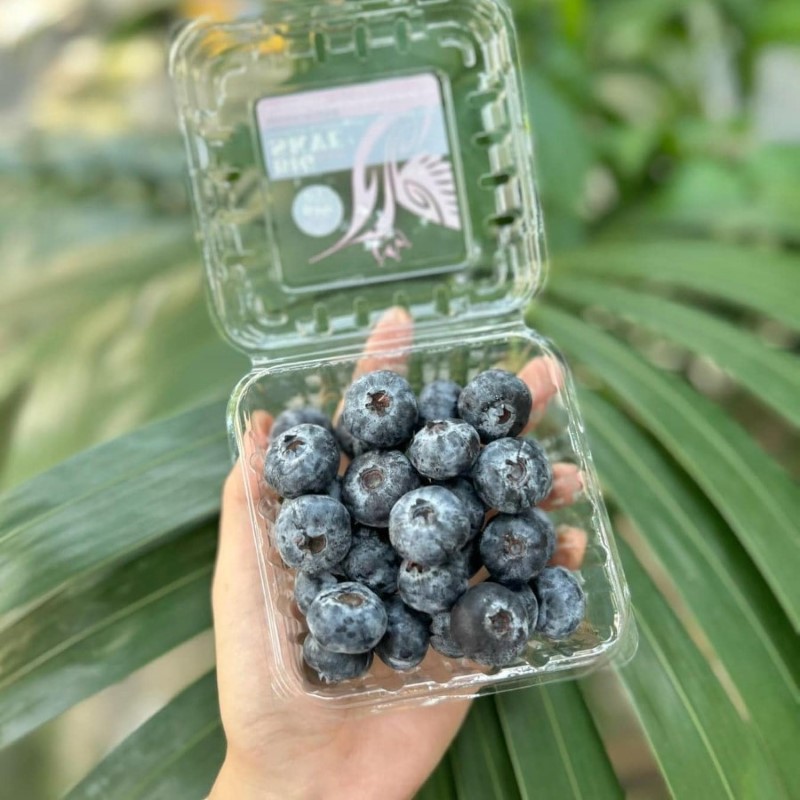 Việt Quất Peru Size Jumbo (Big Skye)_thumbnail_1