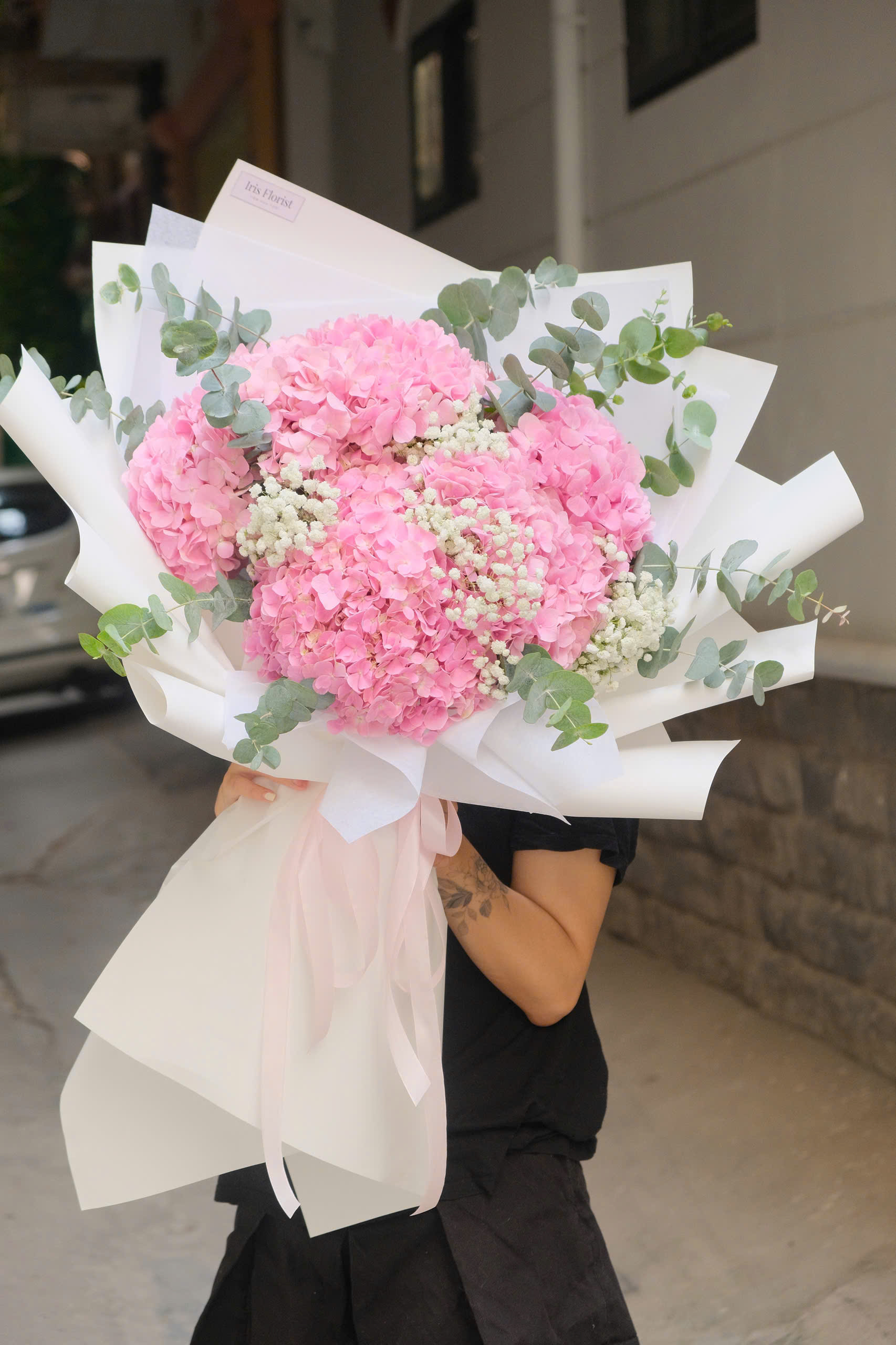 Hoa tú cầu (Hydrangeas)_9