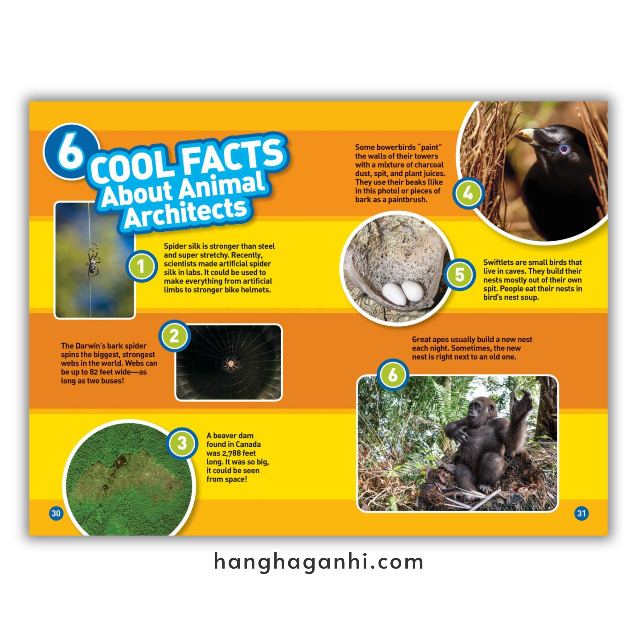Bộ 38 cuốn National Geographic Kids level 3 - sách Khoa học tiếng Anh nhập khẩu, nguyên seal_thumbnail_16