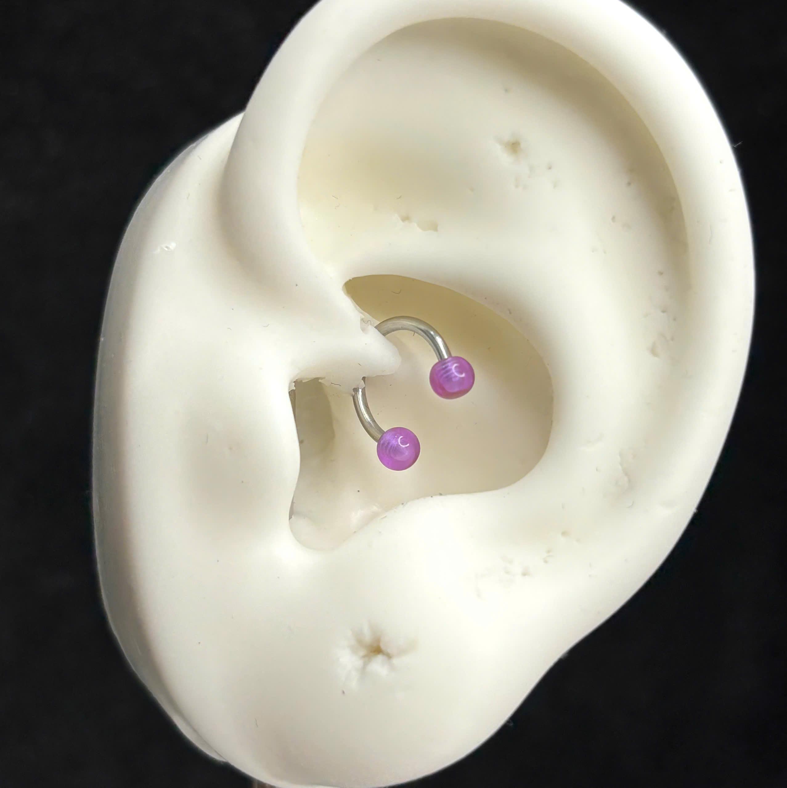 Septum hai quả bóng tím