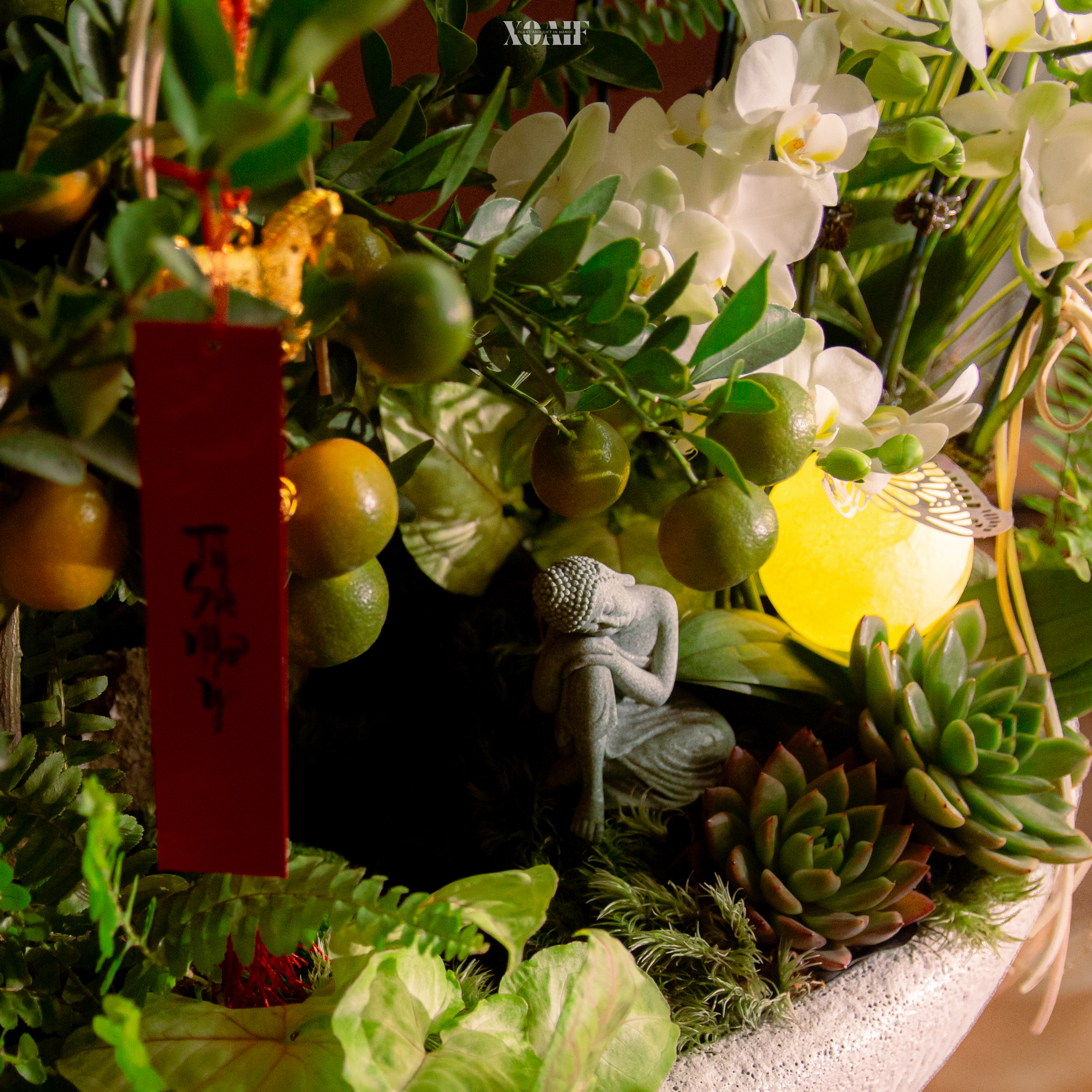 NGUYỆT ANH ĐẦU NIÊN_thumbnail_4