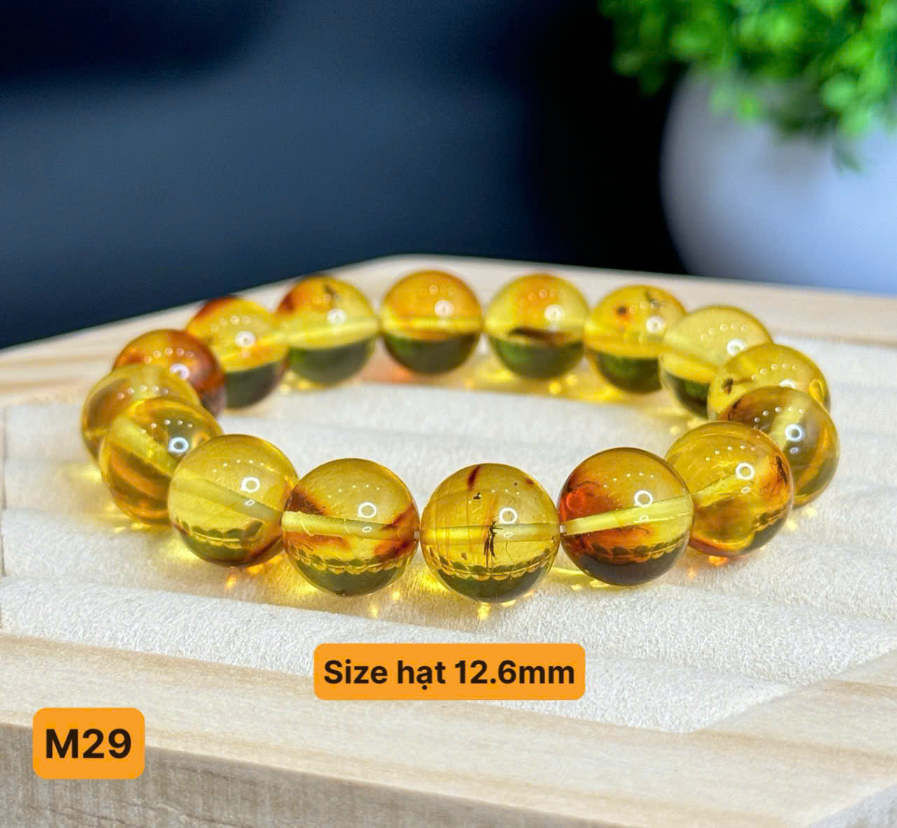 Chuỗi Lắc Tay Full Côn Trùng - M29