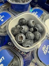 Việt quất_thumbnail_1