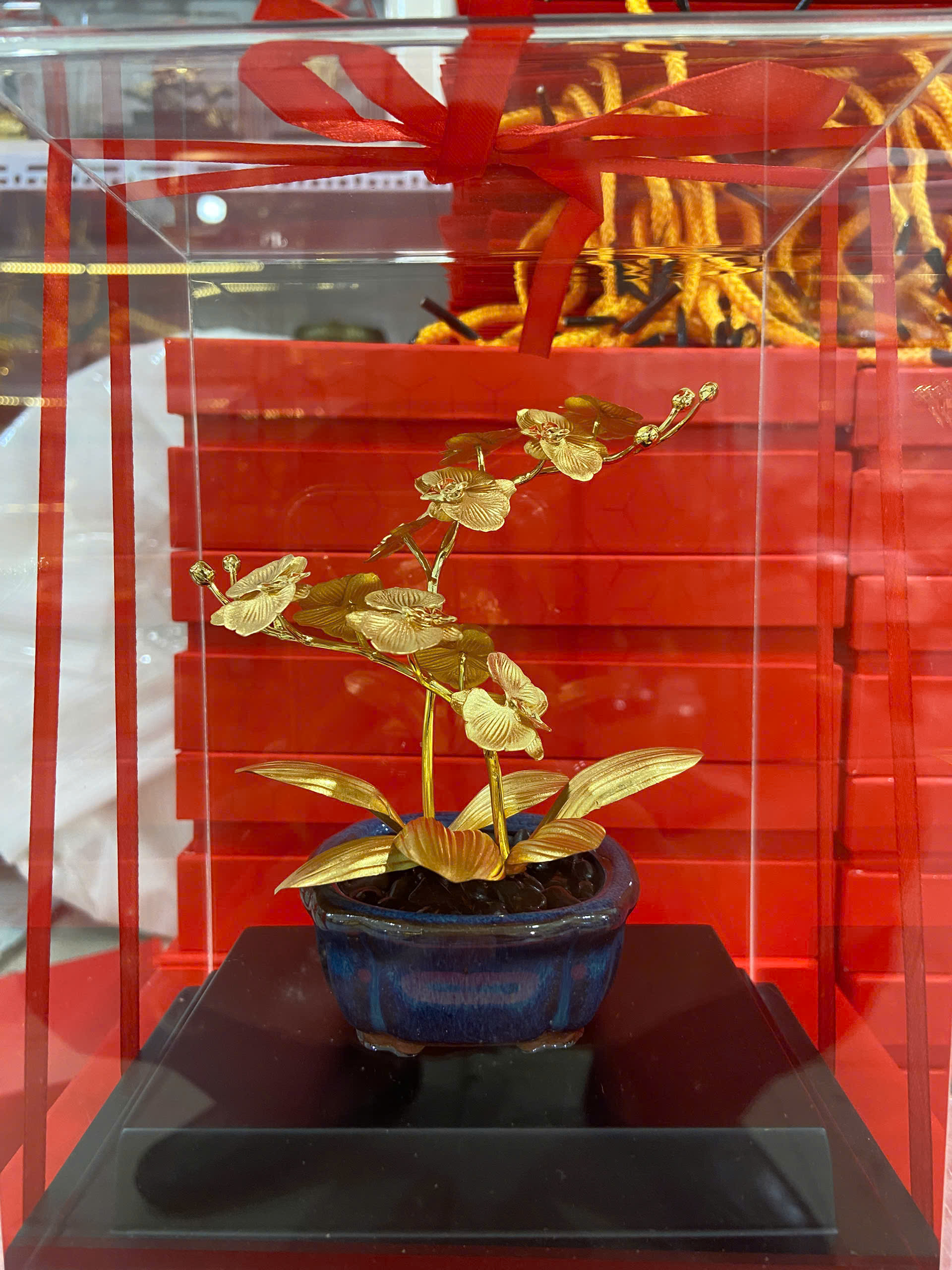 Chậu hoa lan hồ điệp 2 nhánh mạ vàng 24k KT 22CM _thumbnail_2