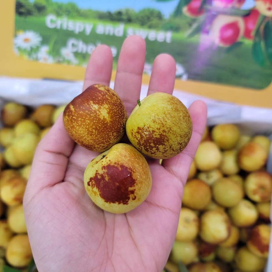 Hồng Táo Sữa Bò