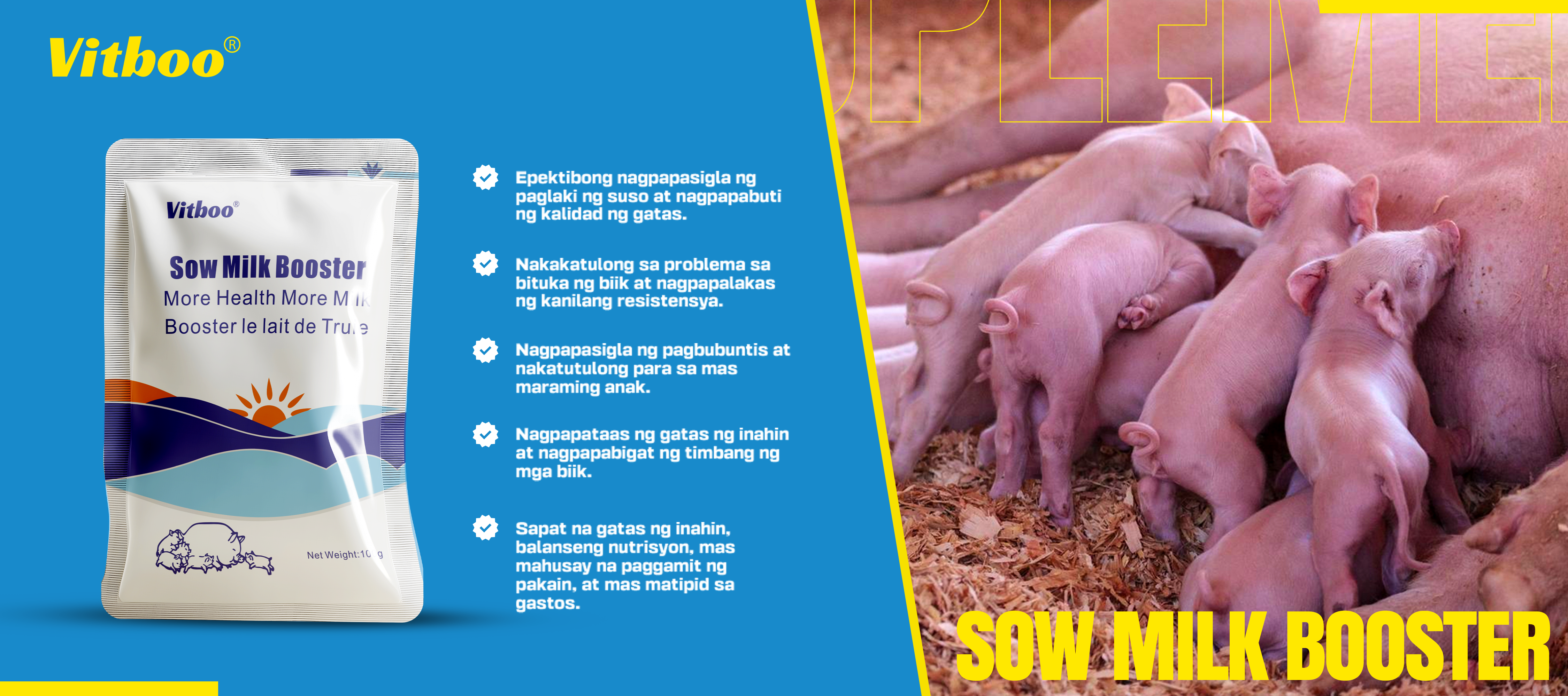 SOW MILK BOOSTER BANNER