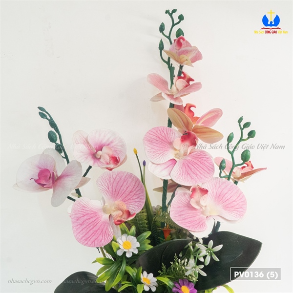 Hoa lan 3 nhánh_thumbnail_2