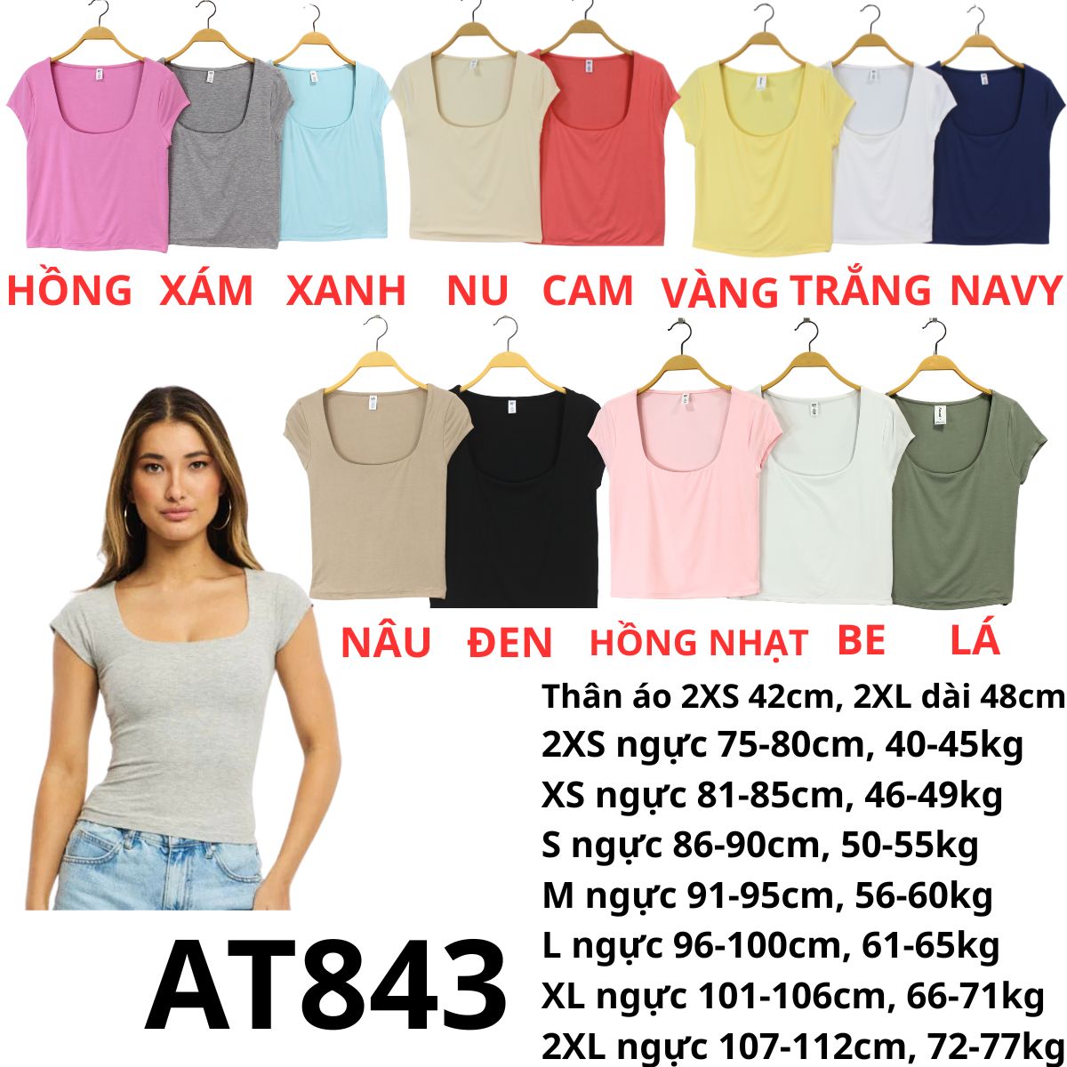 AT843- Áo thun cổ vuông