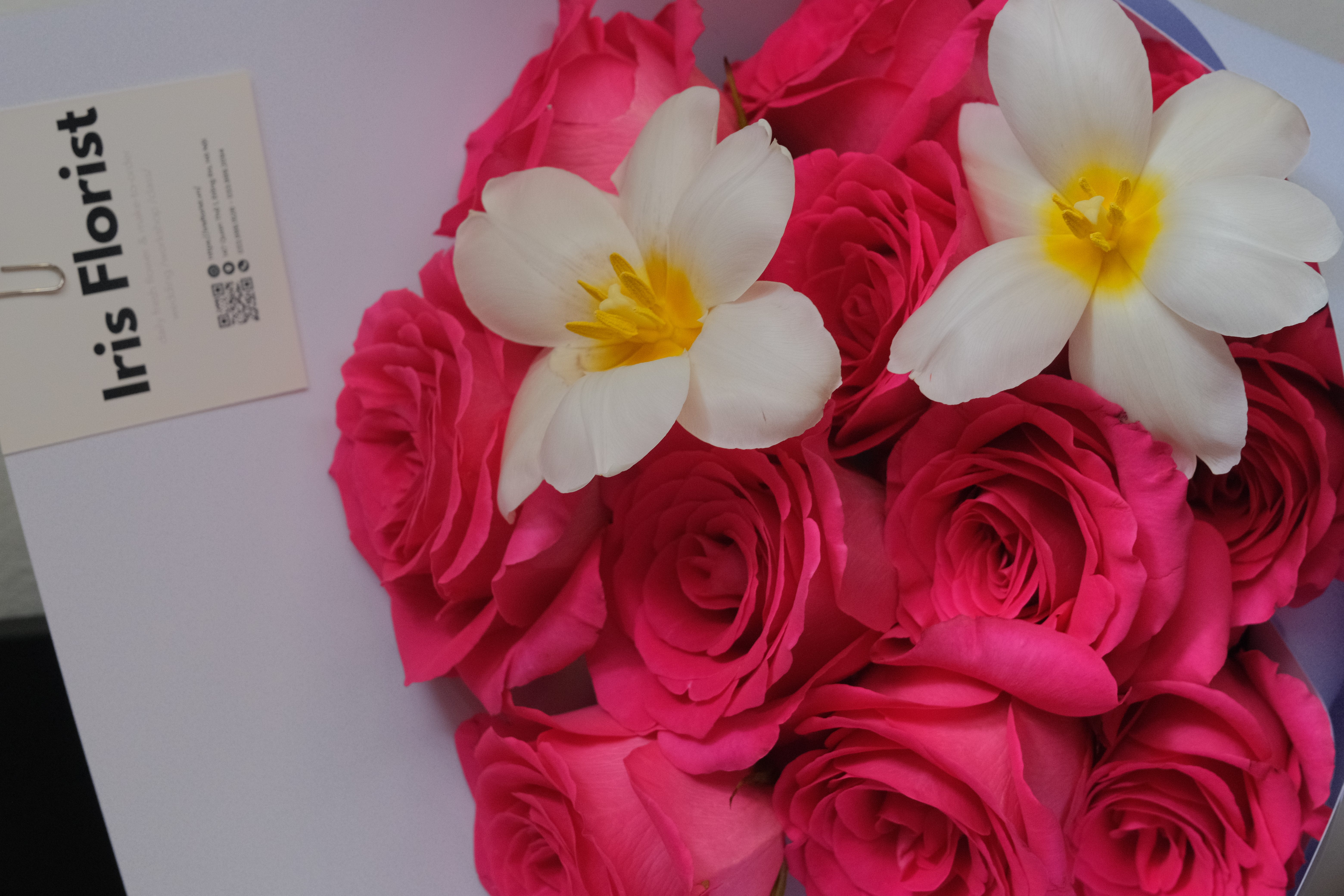 Bó hồng Pink Floyd mix tulip_thumbnail_1