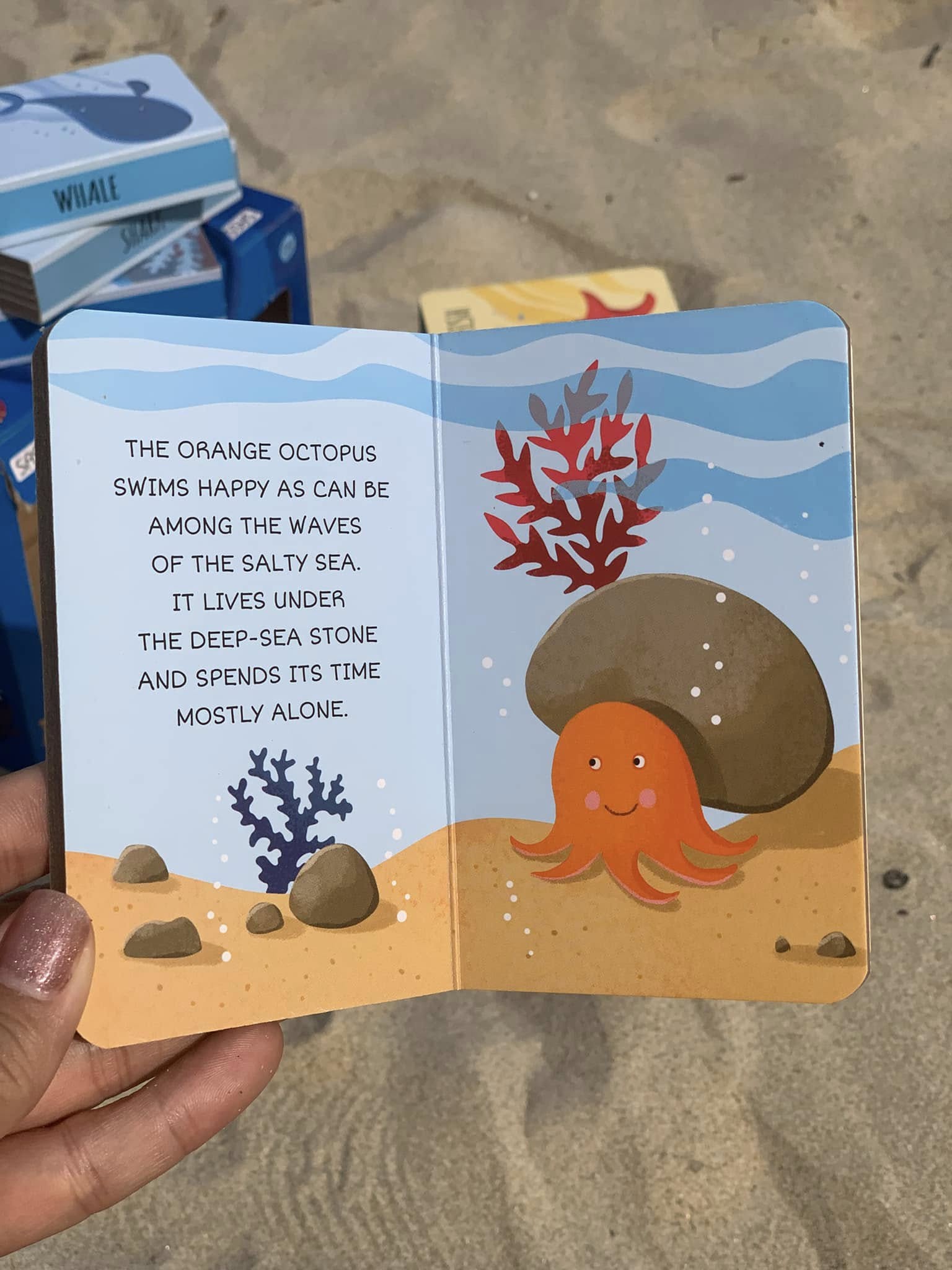 MY FIRST LIBRARY - THE SEA (xả vỡ hộp)_thumbnail_8