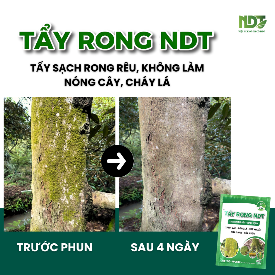 TẨY RONG NDT_thumbnail_2