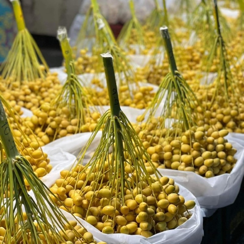 Chà Là Thái Lan_thumbnail_1