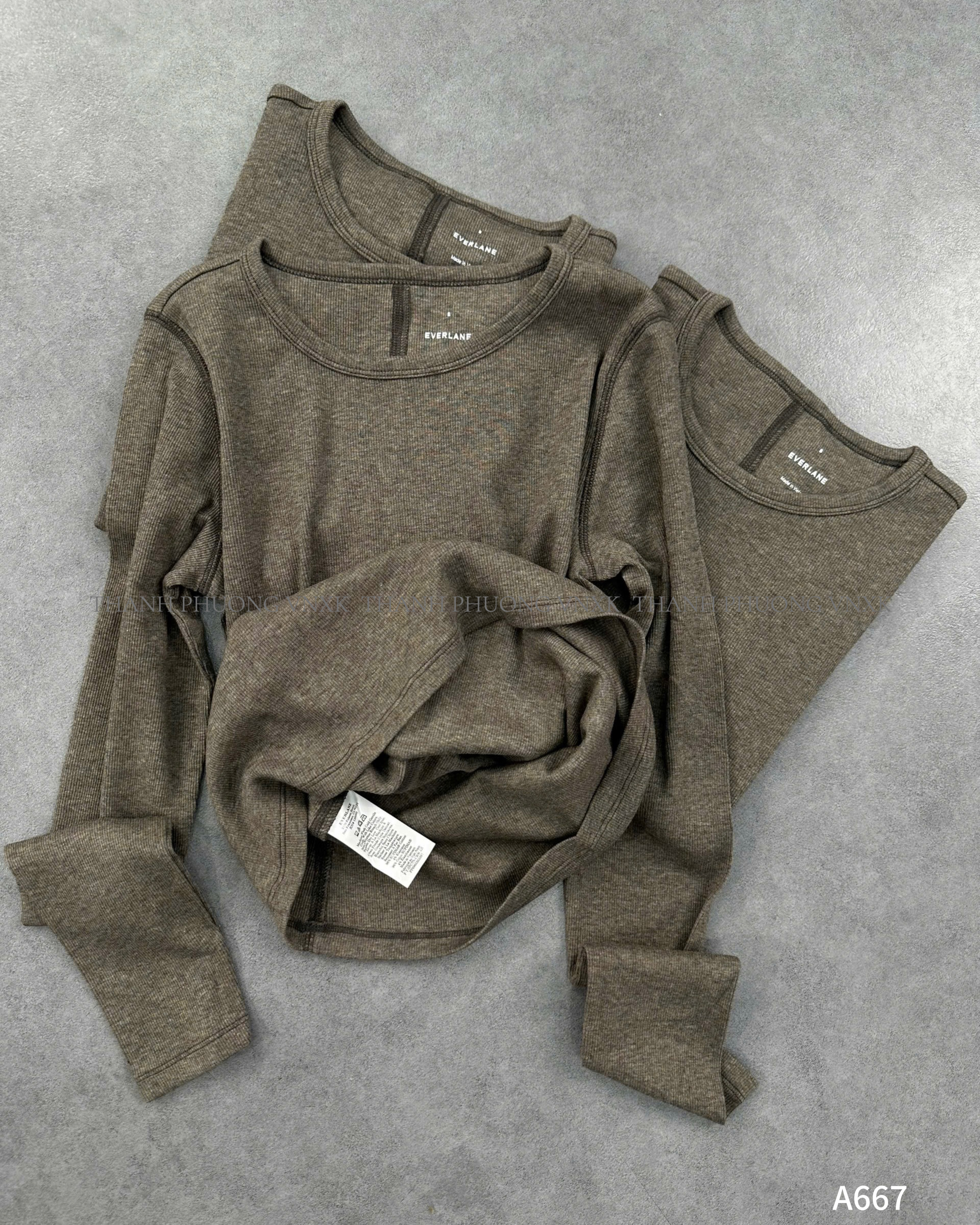 AO NU EVER A667 (L3-2)_thumbnail_8